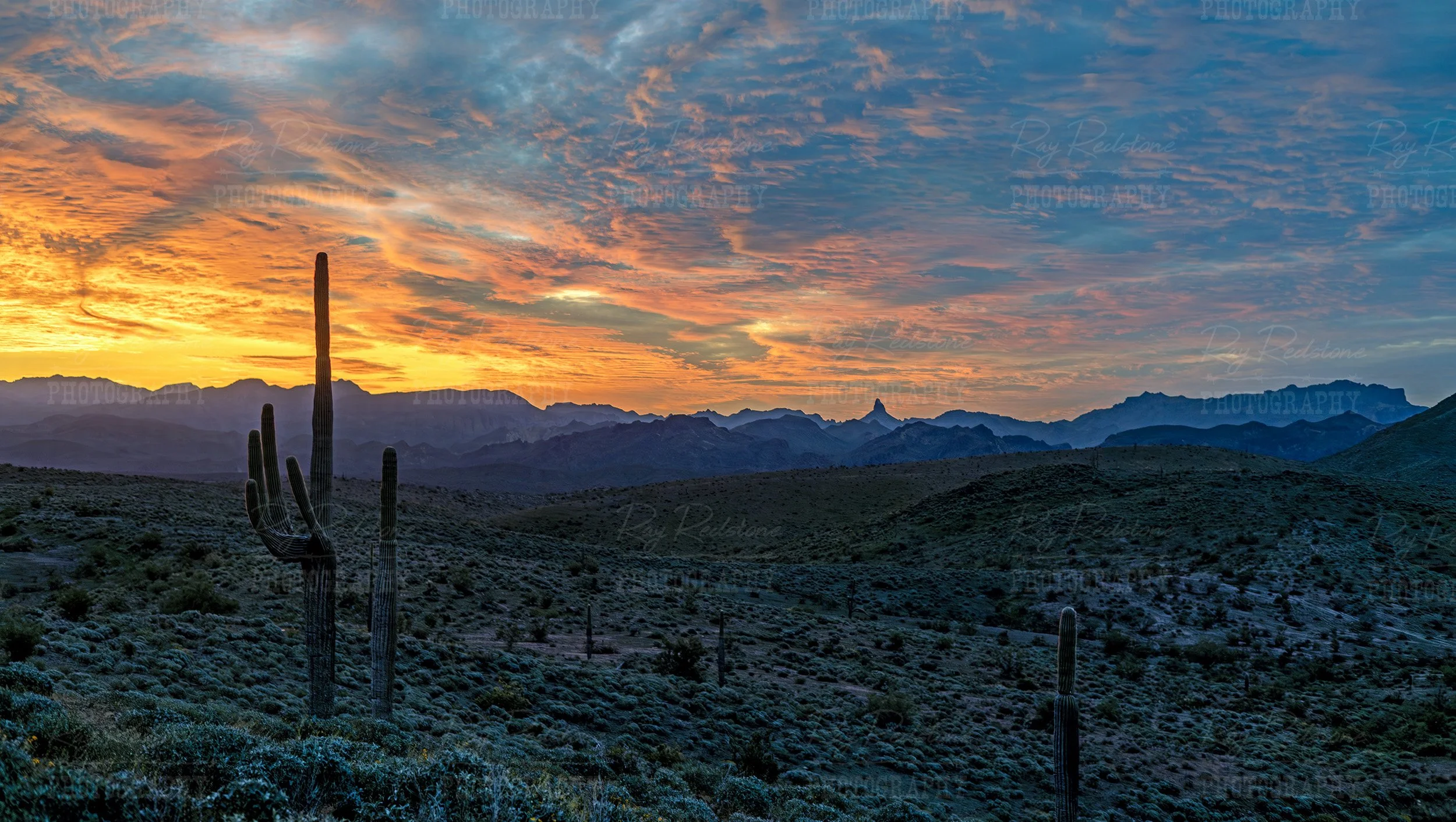 Cactus Silhouette Sunrise Landscape In Arizona