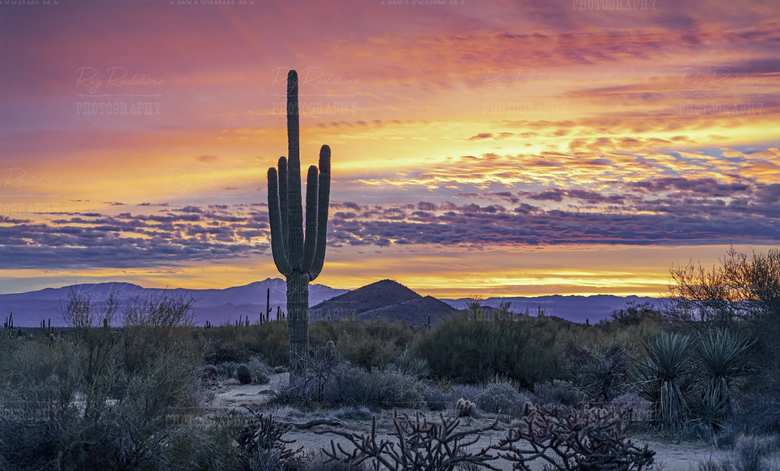 Dramatic Desert Sunrise Skies In Arizona With Cactus