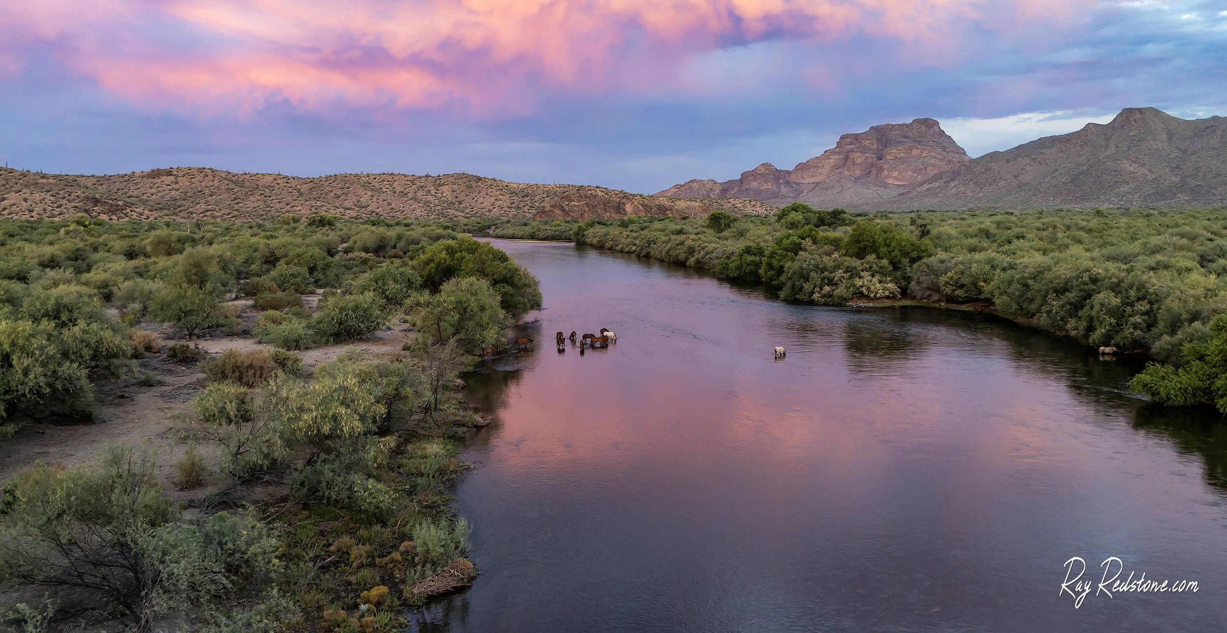 Aerial view of wild horses on the Salt River at sunrise time