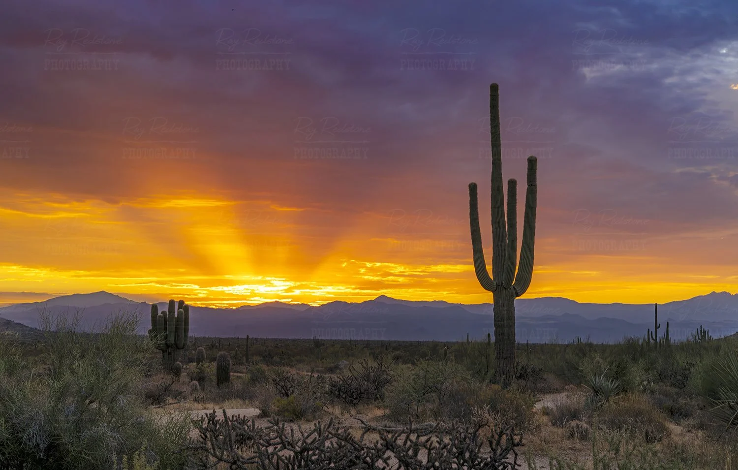 Orange Crush Sunrise e