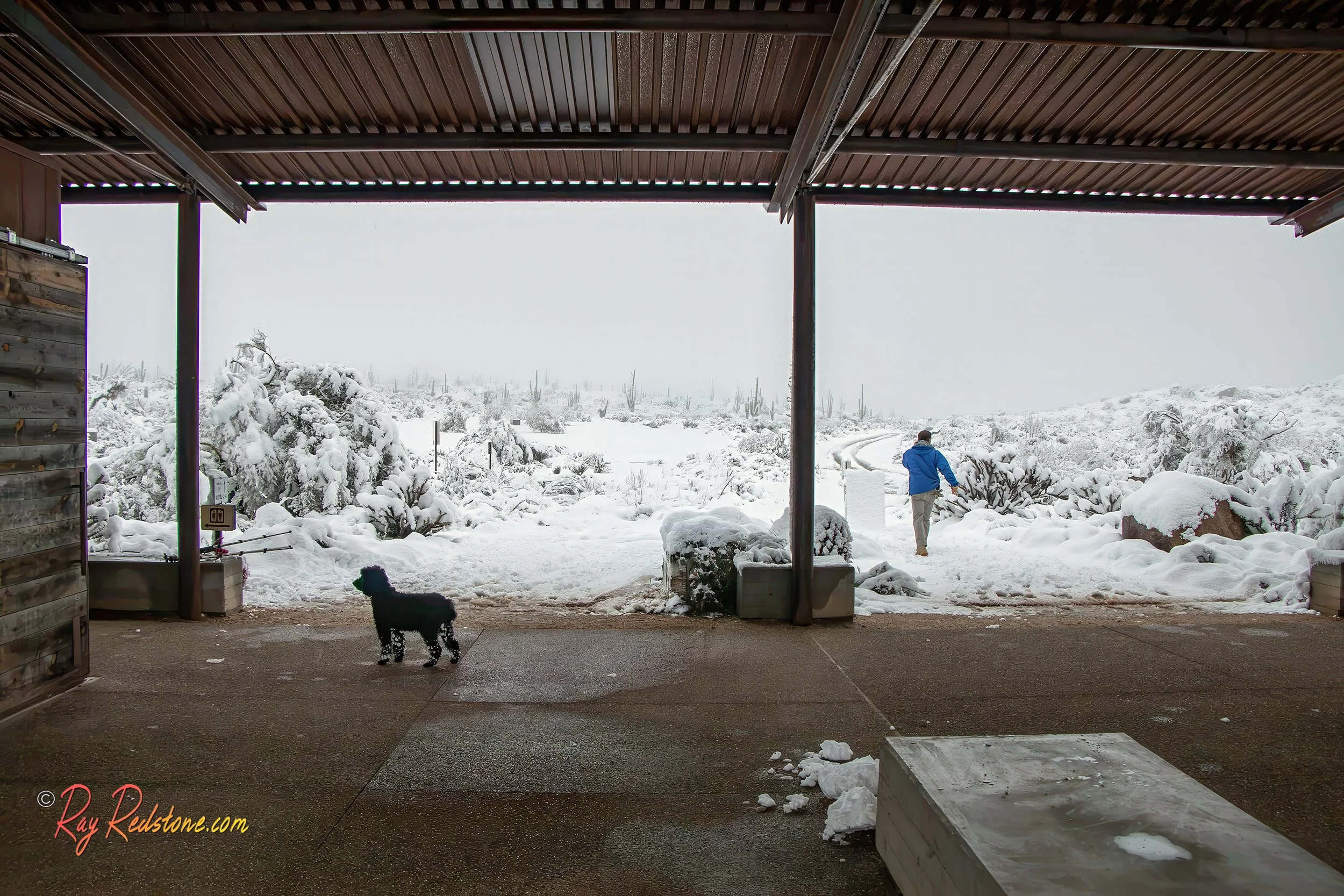 Winter Snow Storm At Browns Ranch Trailhead In Scottsdale AZ