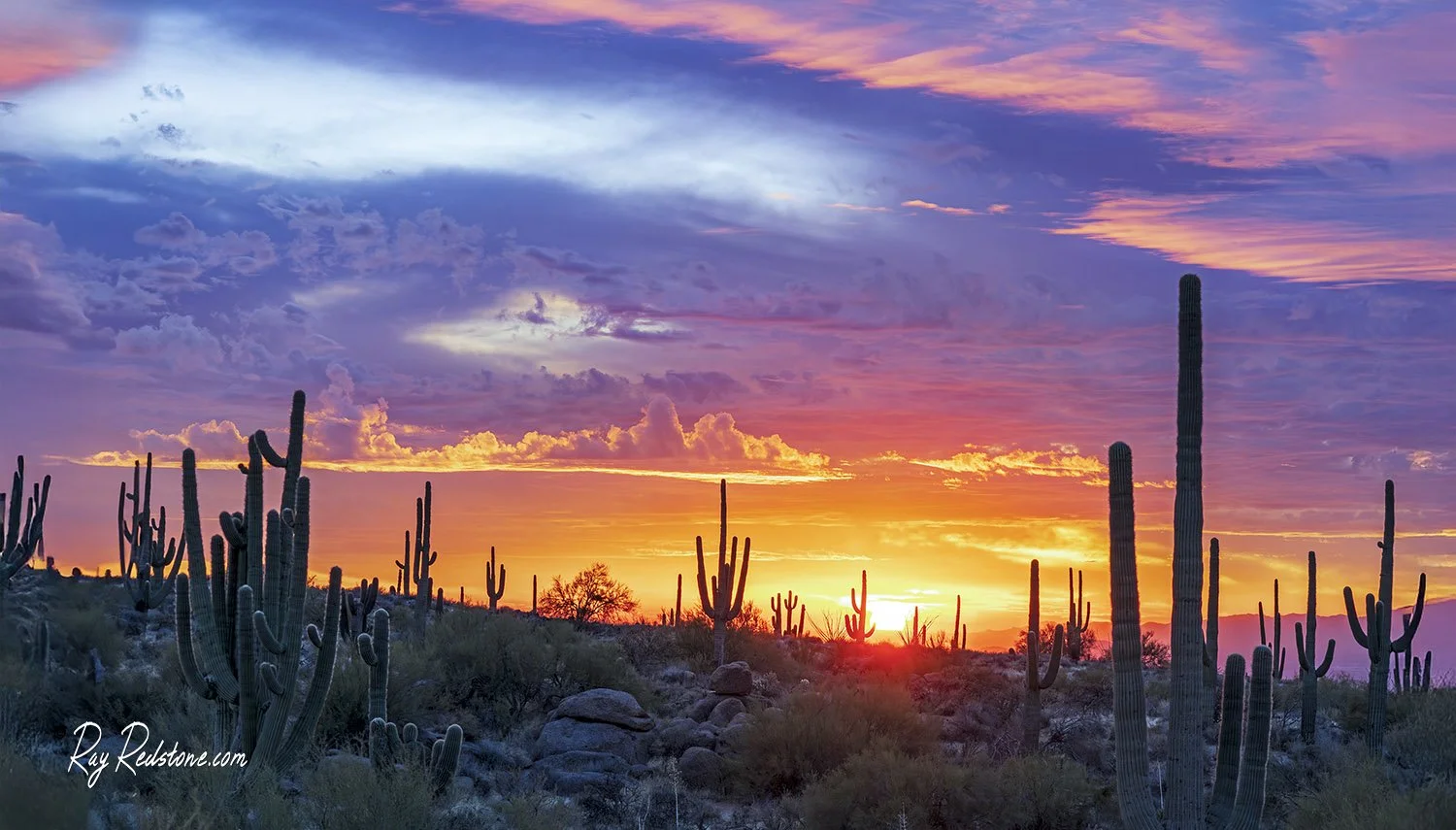 North Scottsdale Sunset 