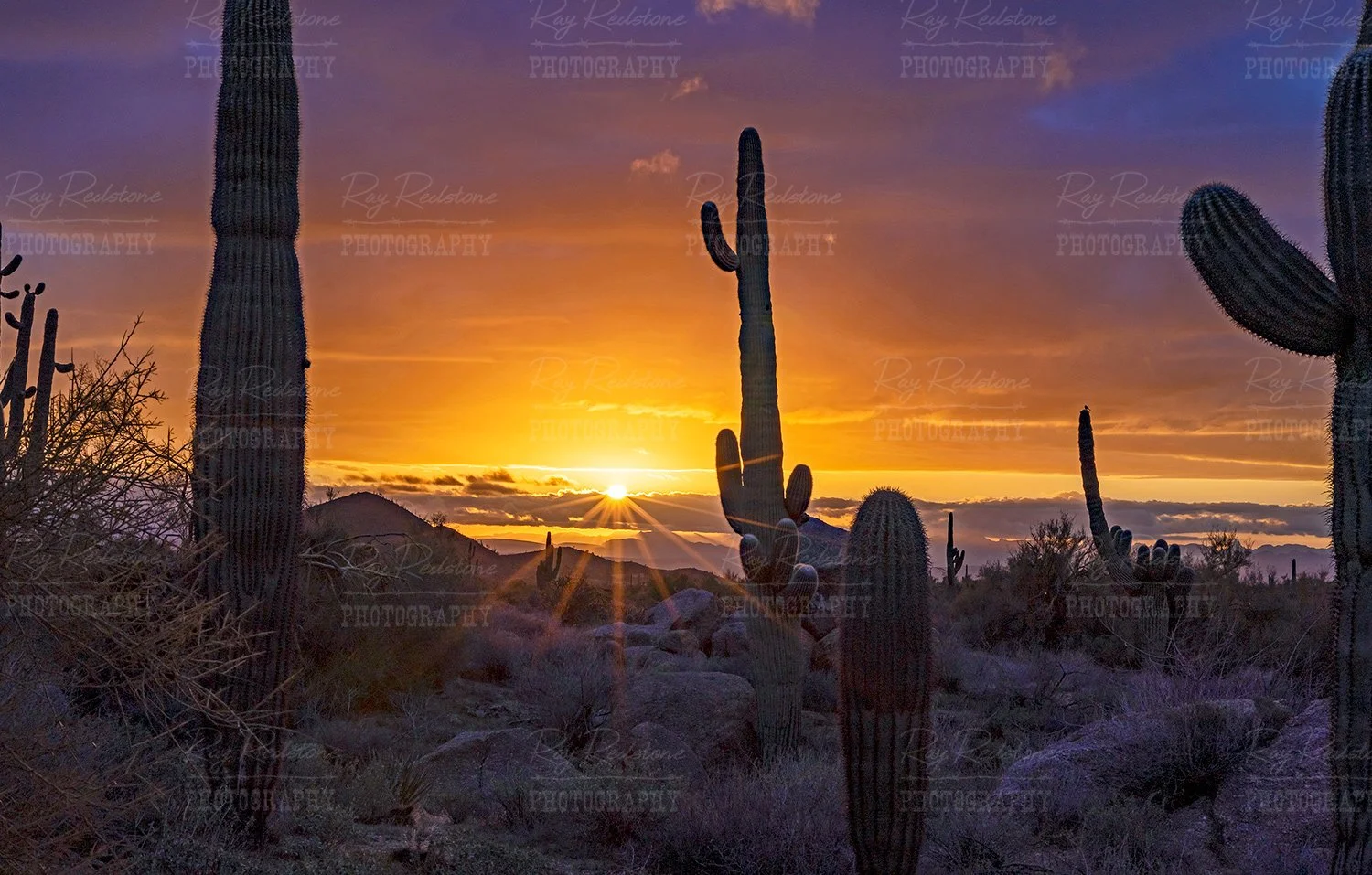 Early Sunrise