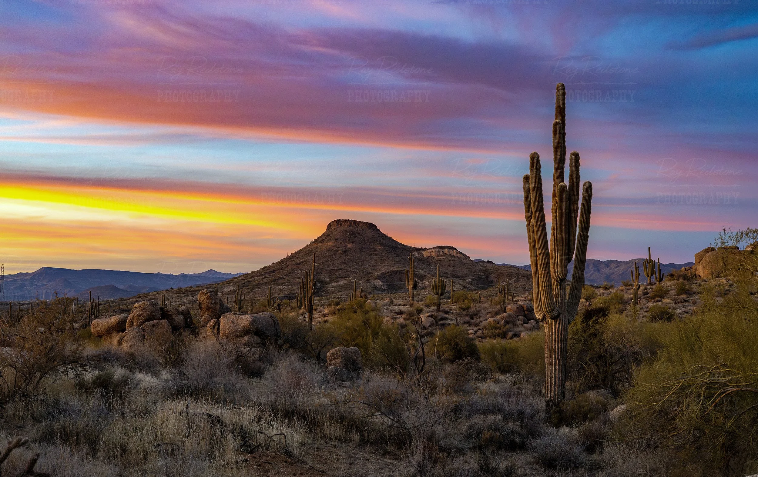 Classic Sonoran Desert Sunset Landscape In Scottsdale AZ