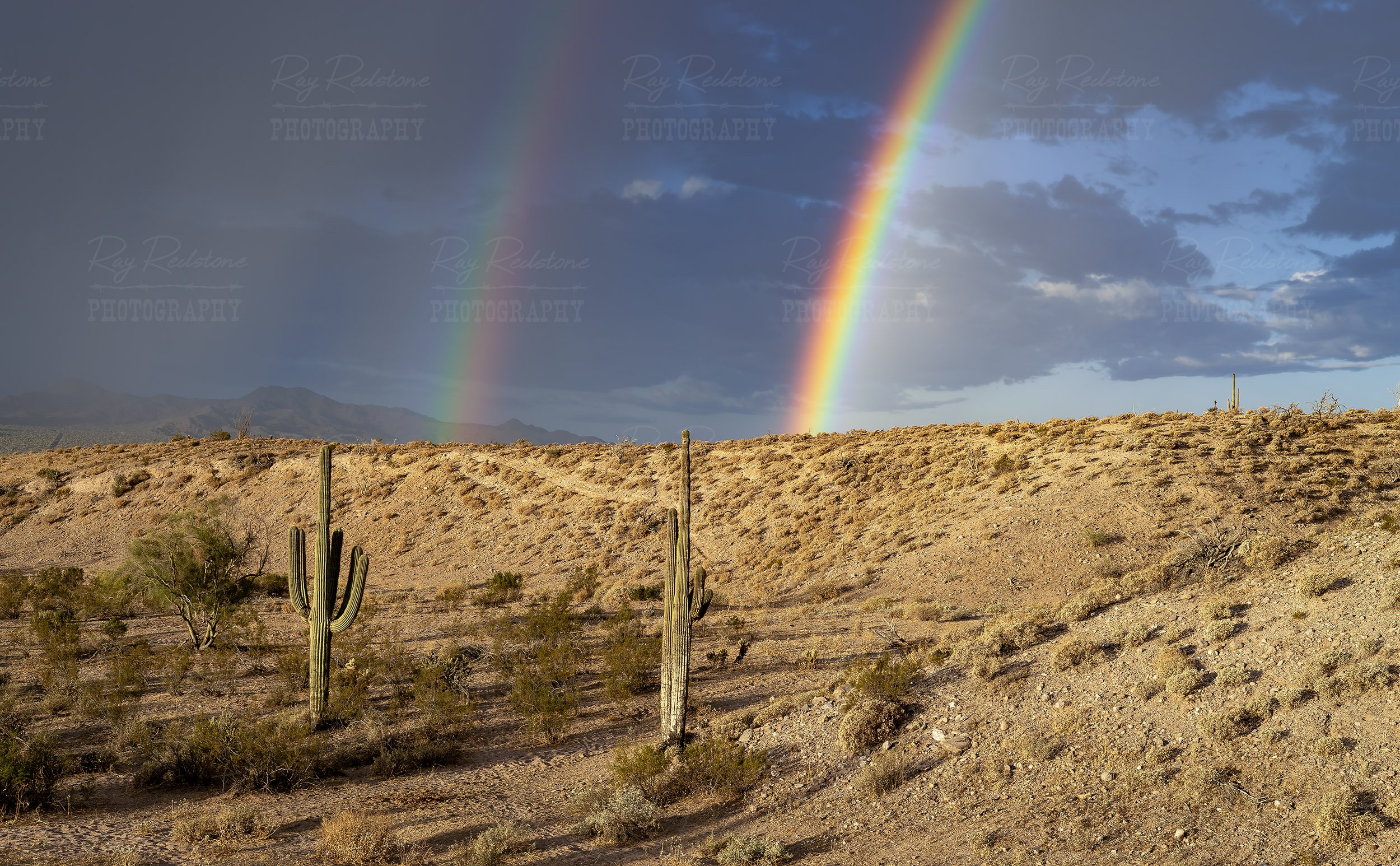 Double rainbow in the Arizona desert