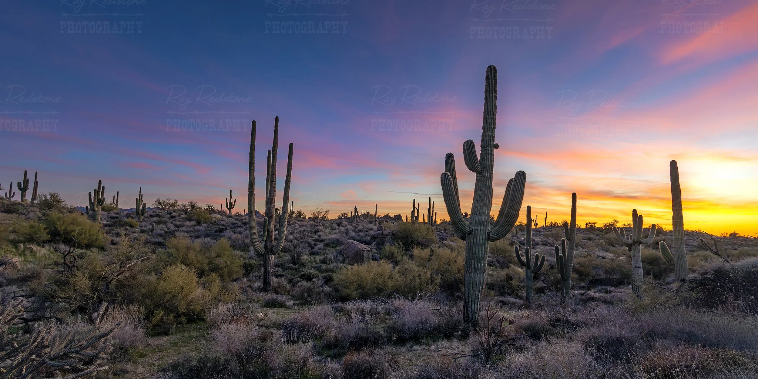 Wide Ratio AZ Desert Sunrise Landscape For Wall Art
