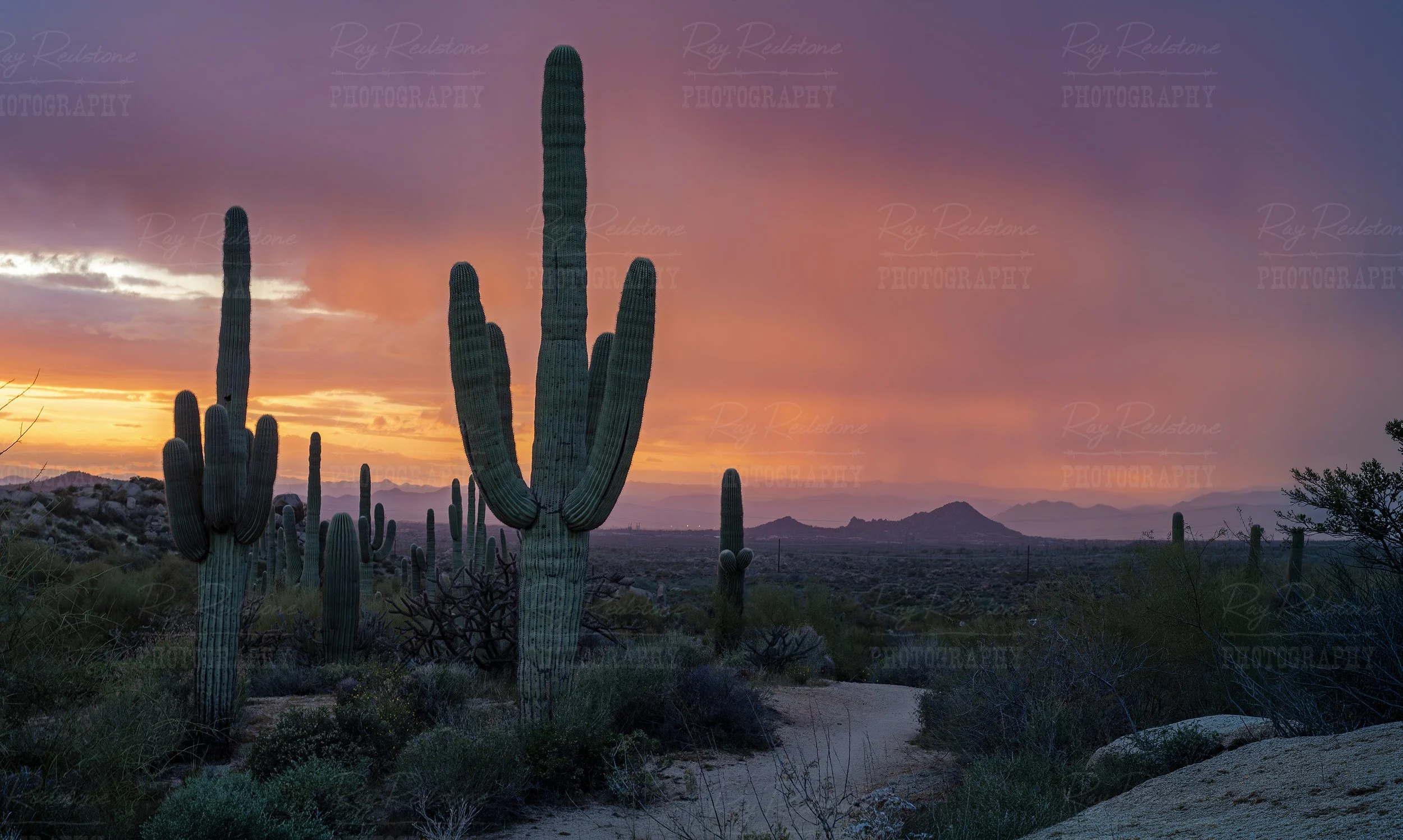 Glowing Orange Sunset Skies In North Scottsdale Sonoran Desert Preserve