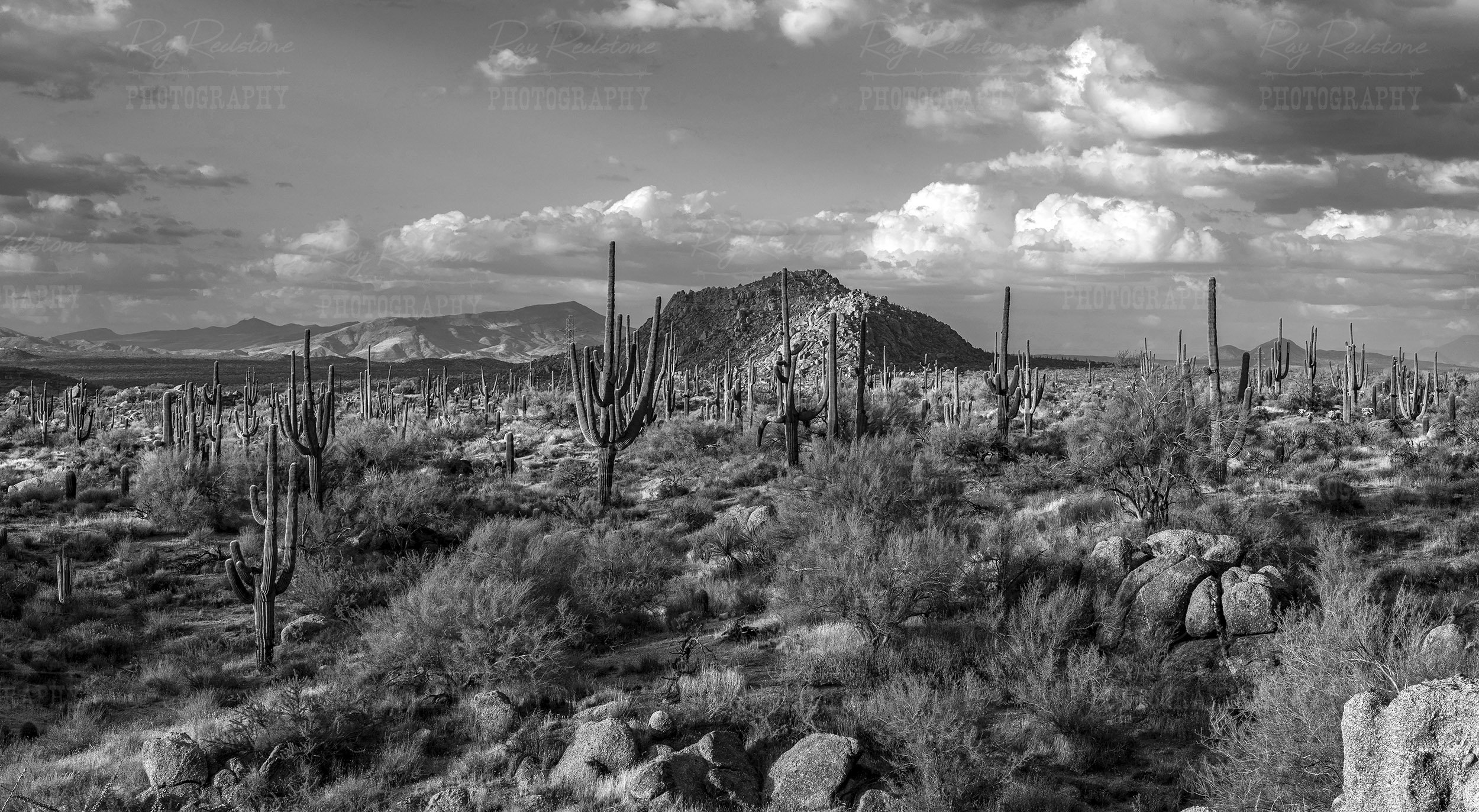 desert-landscape-2500wm-0S8A6587 copy 2.jpg