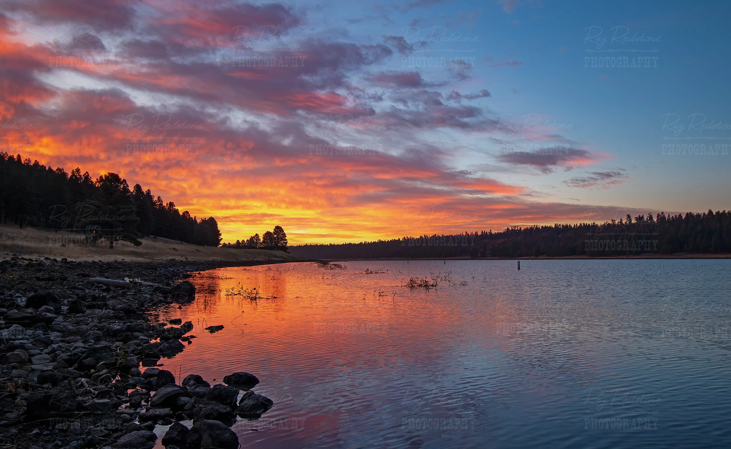 Vibrant Sunrise Reflections On Lake Near Flagstaff AZ