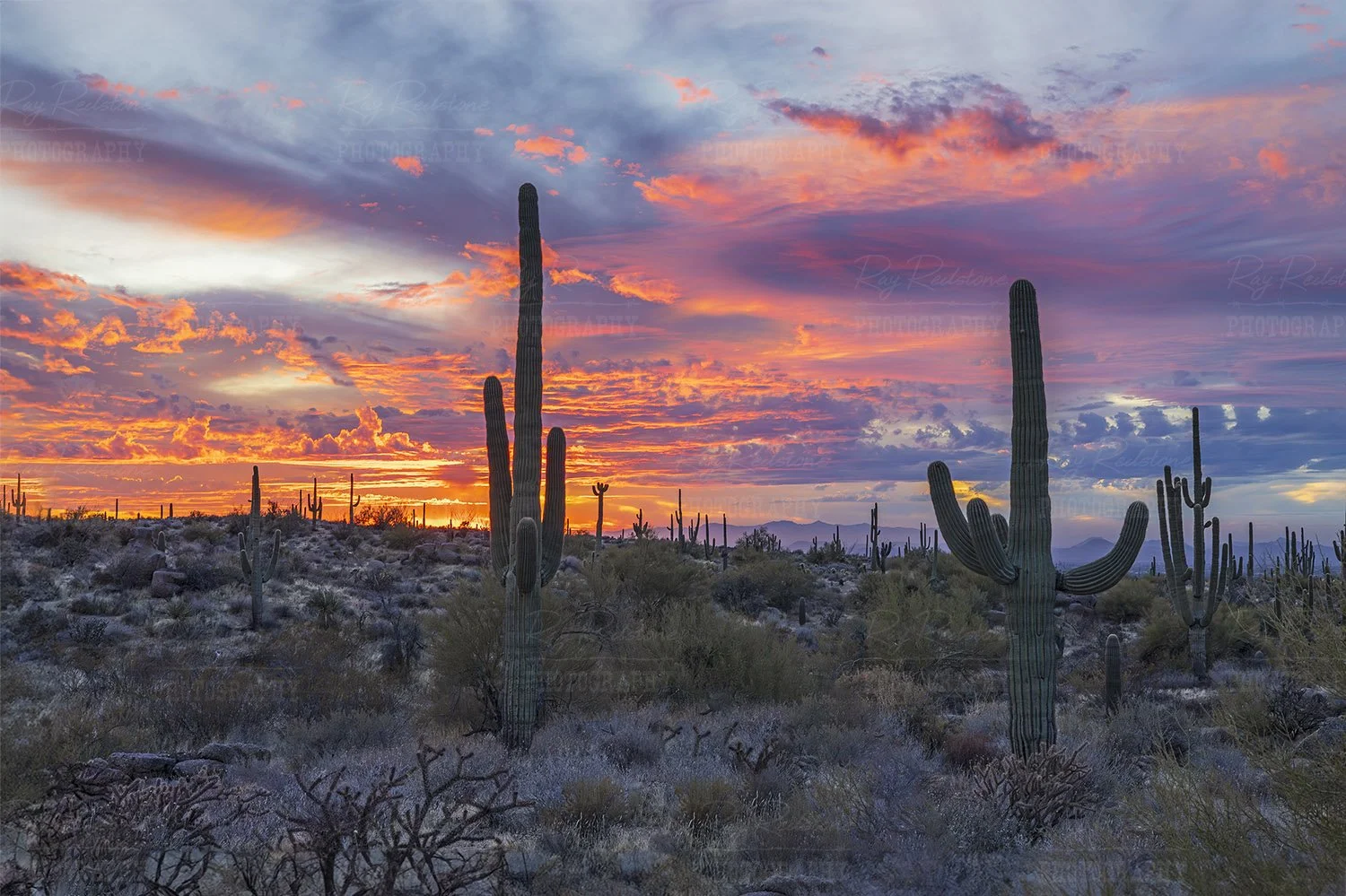 Scottsdale Sunset
