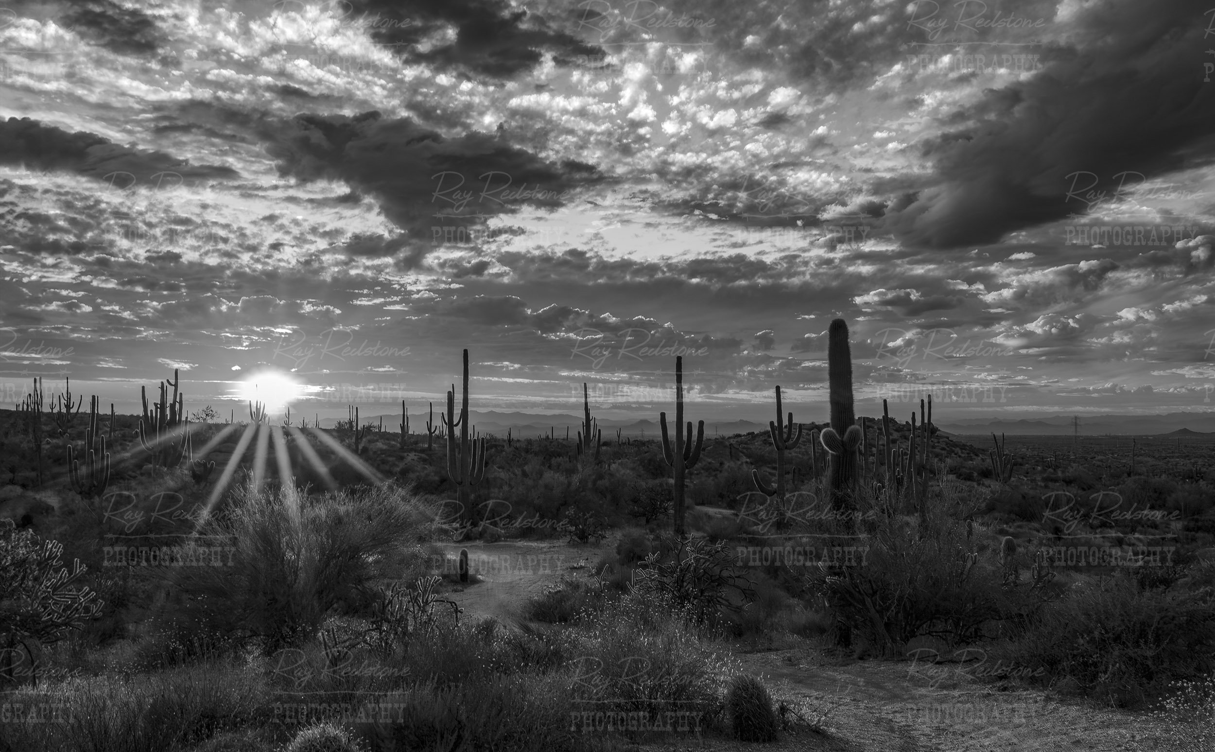 Black & White Arizona Desert Sunset Landscape