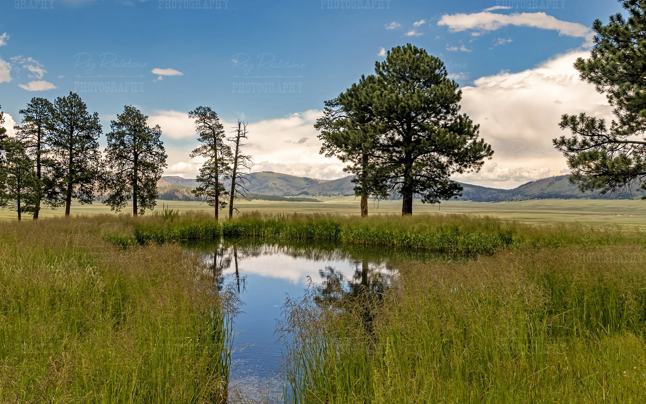 Valles Caldera Pond