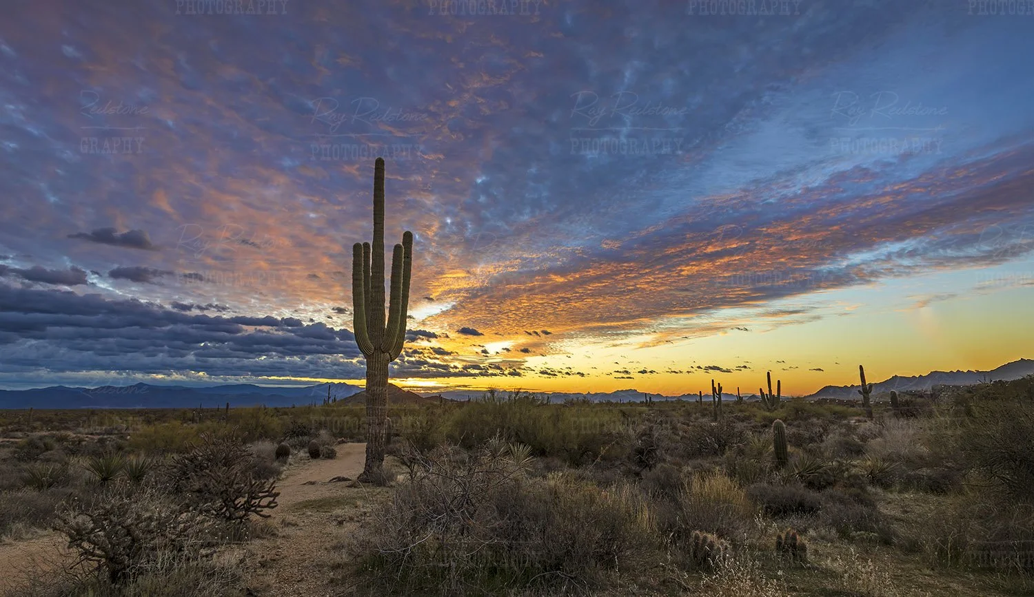 Panoramic desert sunrise