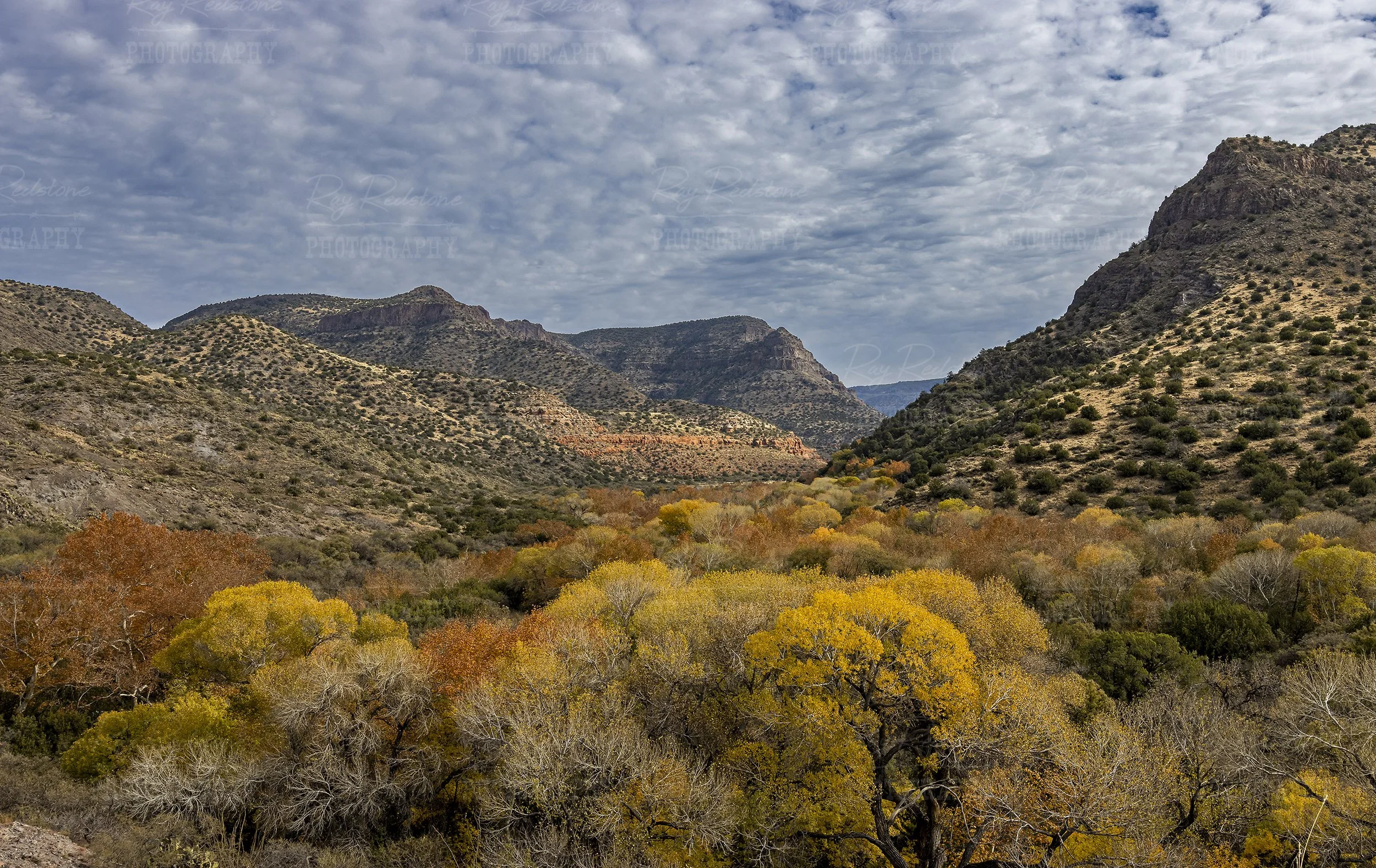 Vibrant Fall Colors On West Clear Creek In Arizona