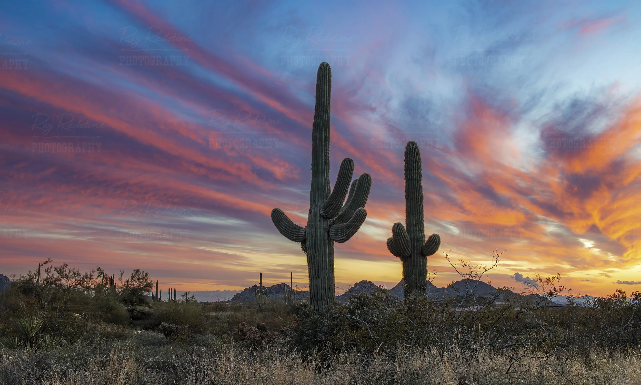Scottsdale Sunset