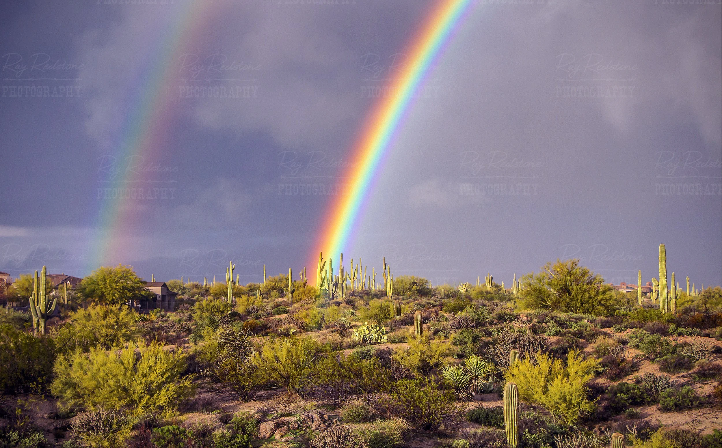 Desert Double Rainbow