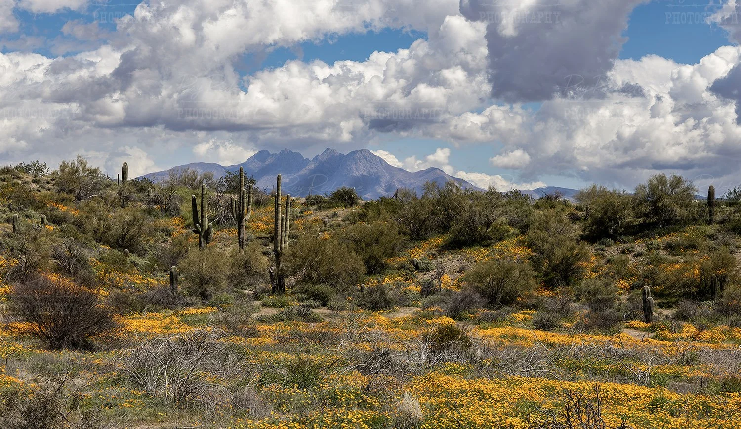 Four Peaks Mountain Range 