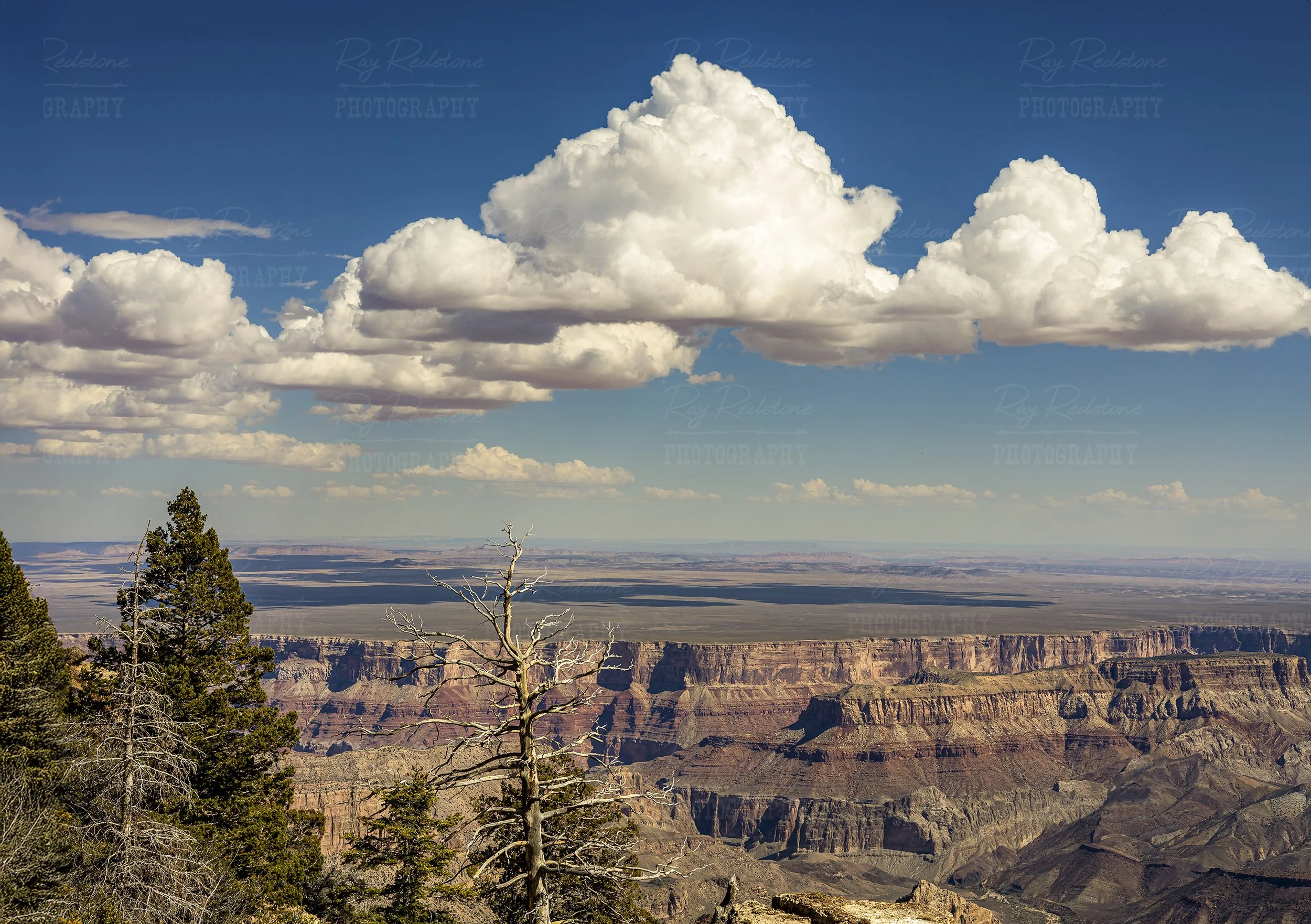 North Rim Of Grand Canyon Landscape With Big Clouds