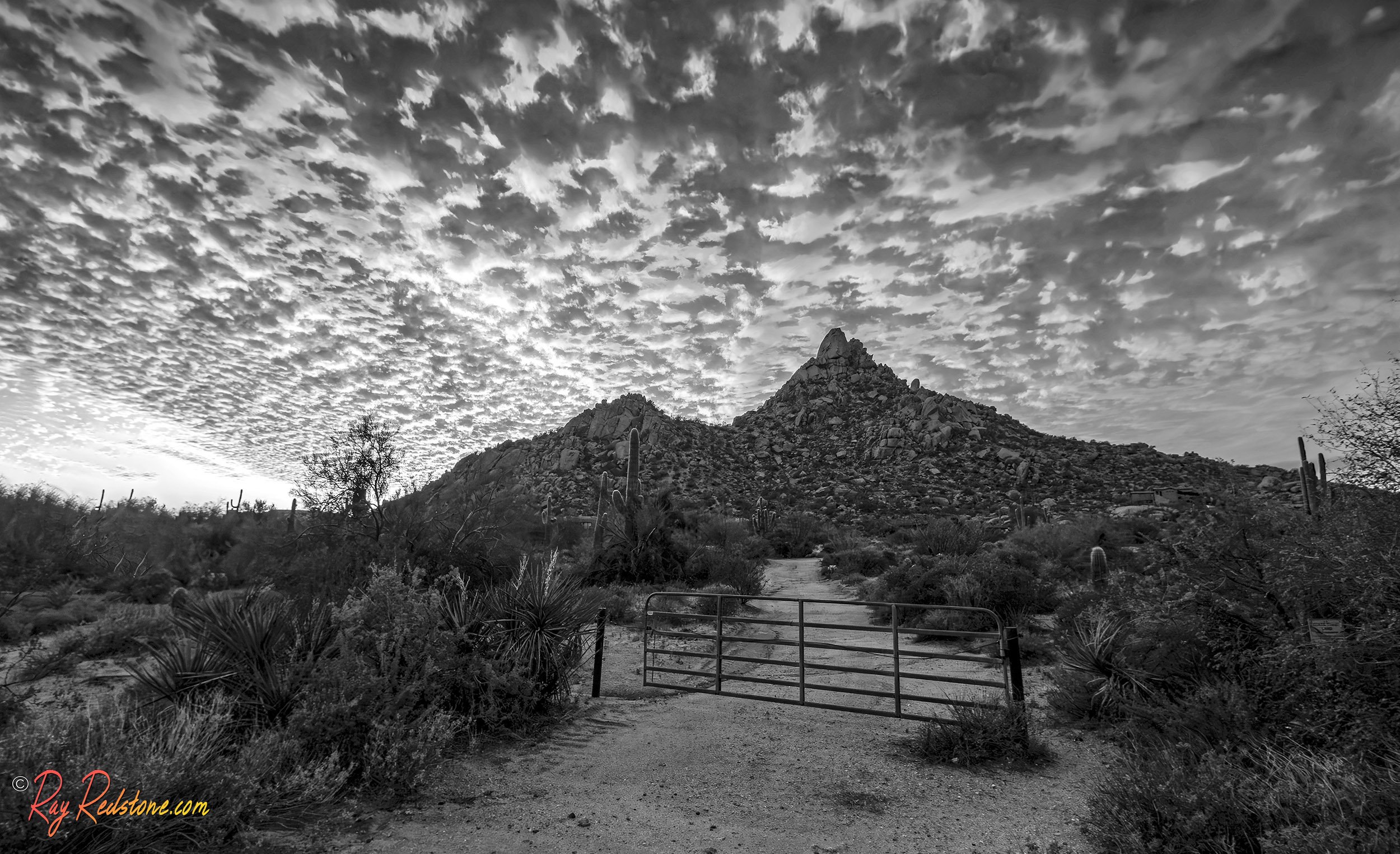 Black & White Image Of Pinnacle Peak In Scottsdale AZ