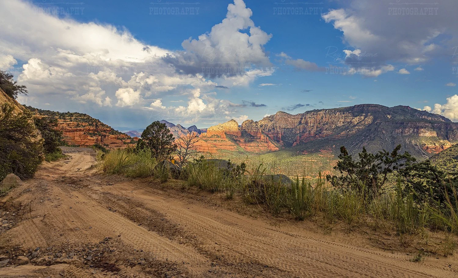 Rugged Forest Road With Views...