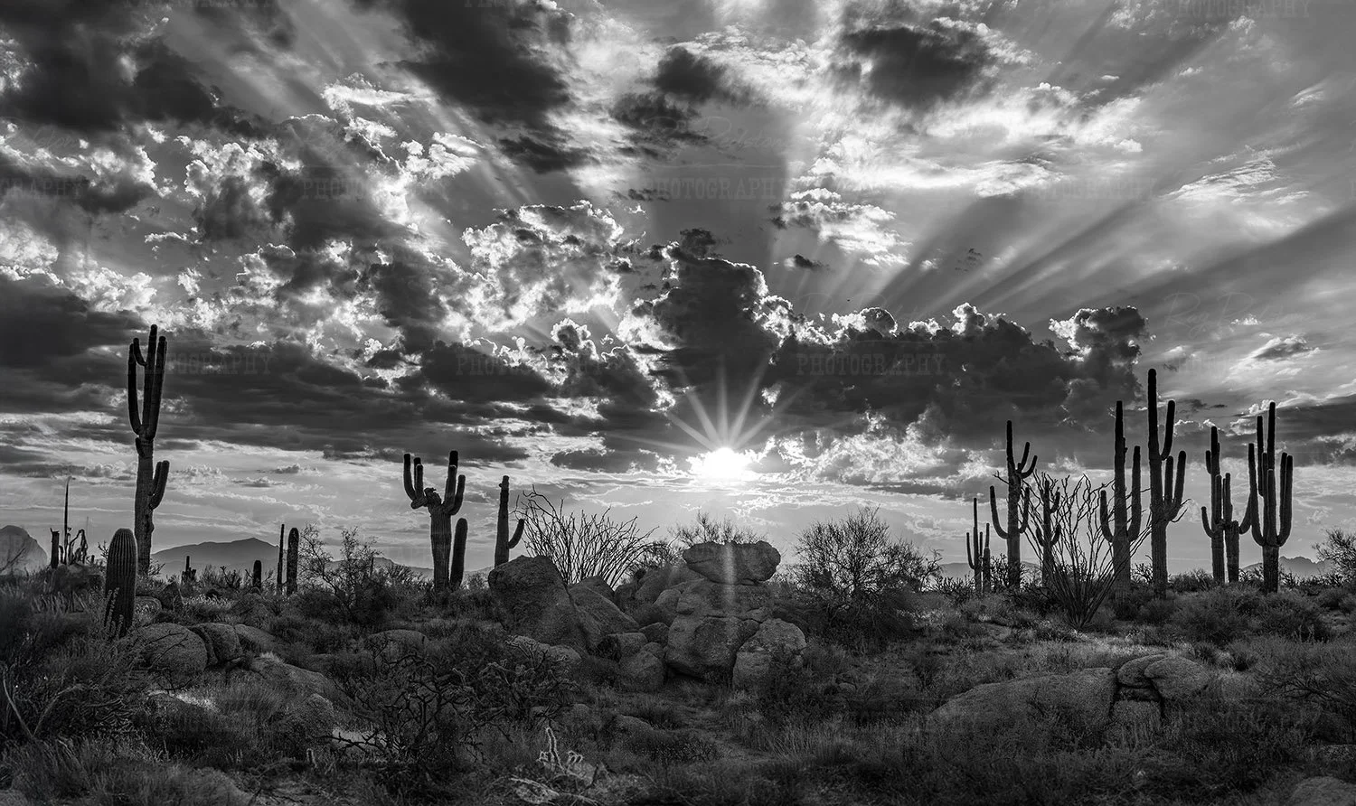 Black & White desert sunrise 