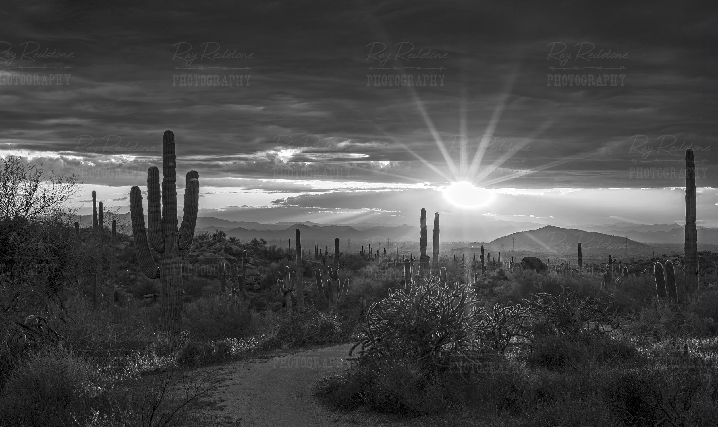 sunset-trail1a-2500wm-0S8A4565-Enhanced-NR copy.jpg