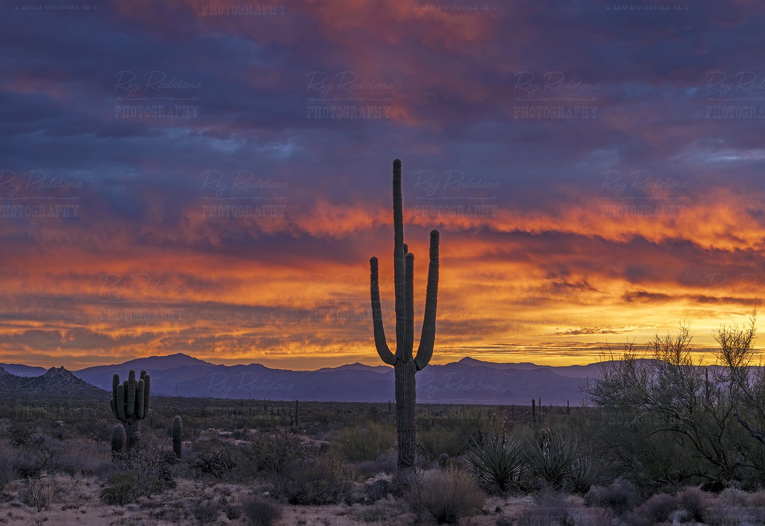 Desert sunrise in Scottsdale