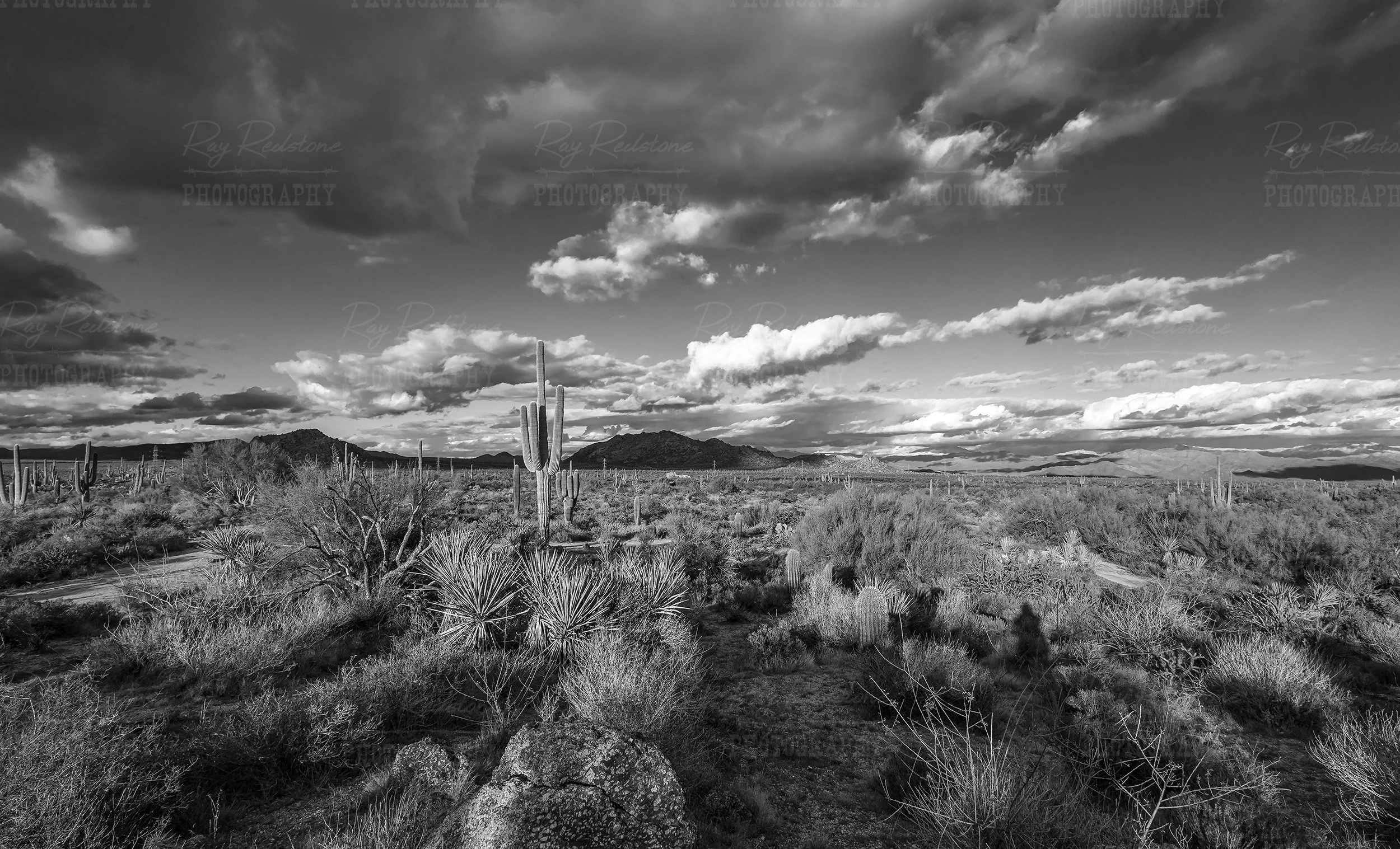 black-white-pano-desert-landscape-2500.jpg