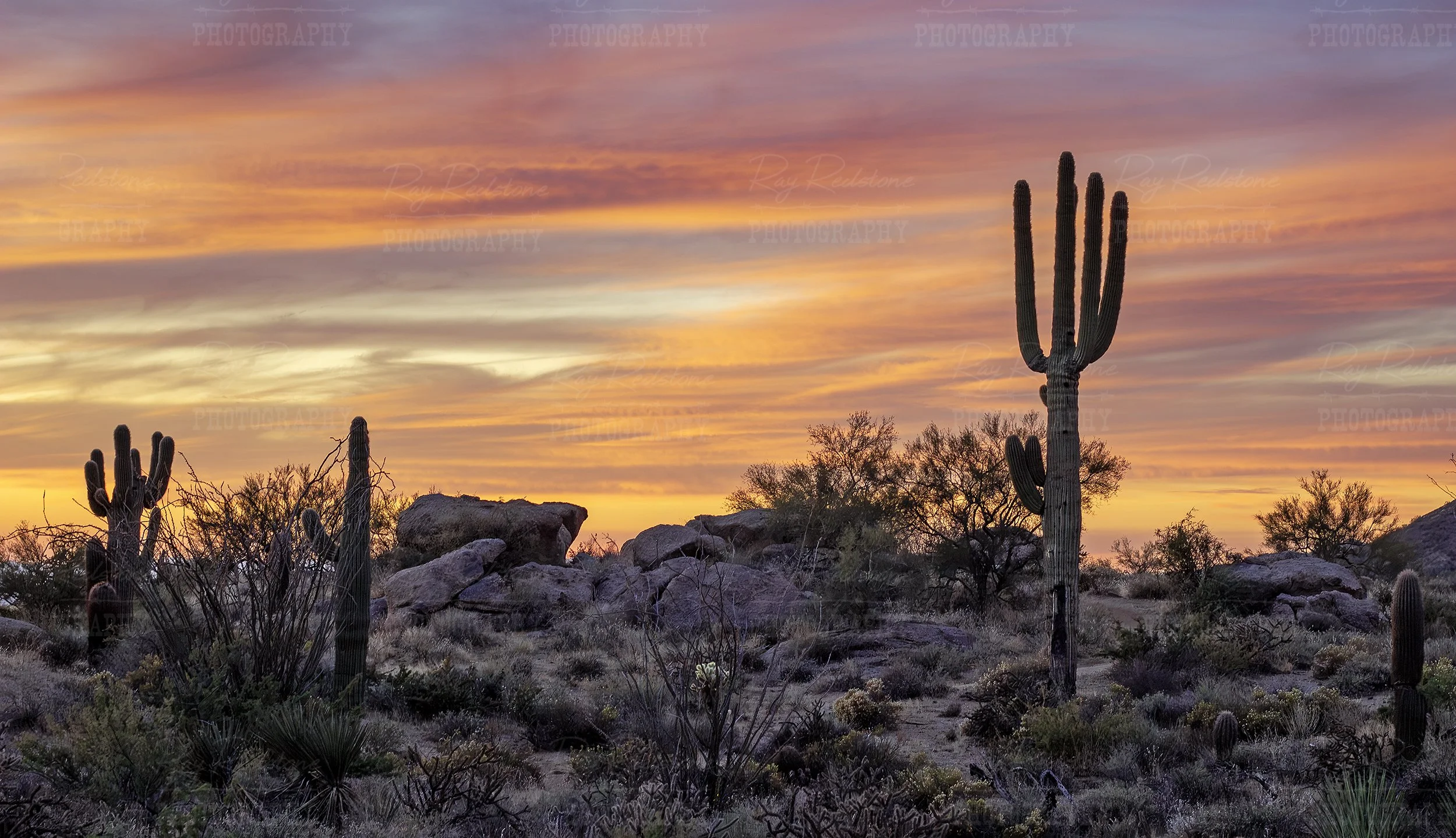 Dramatic Sunset Landscape McDowell Sonoran Desert Preserve Arizona