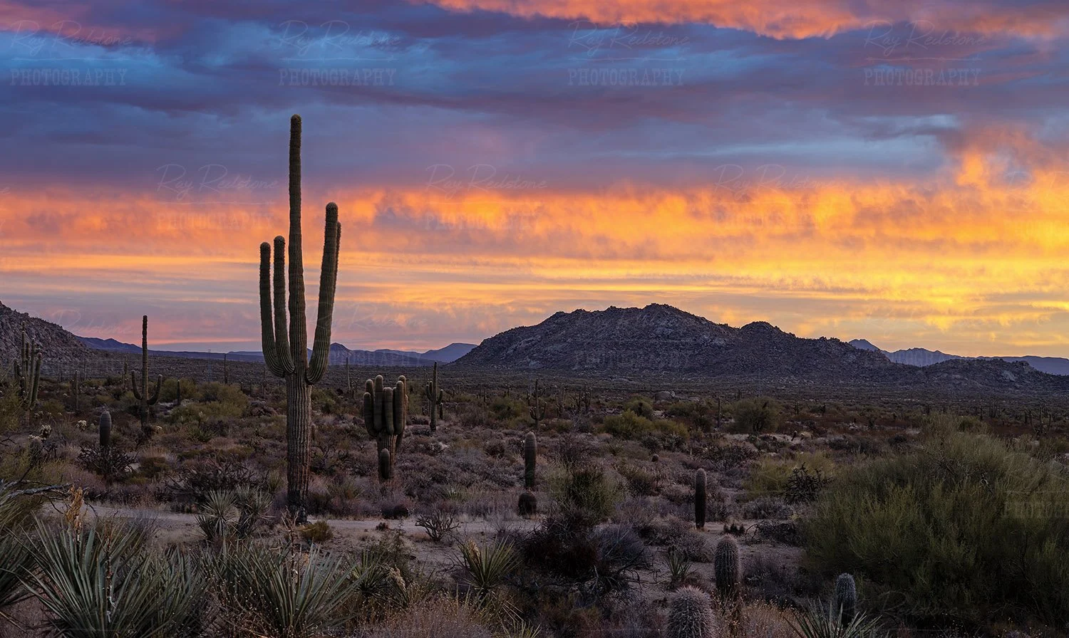 Browns Ranch Trailhead Scottsdale 