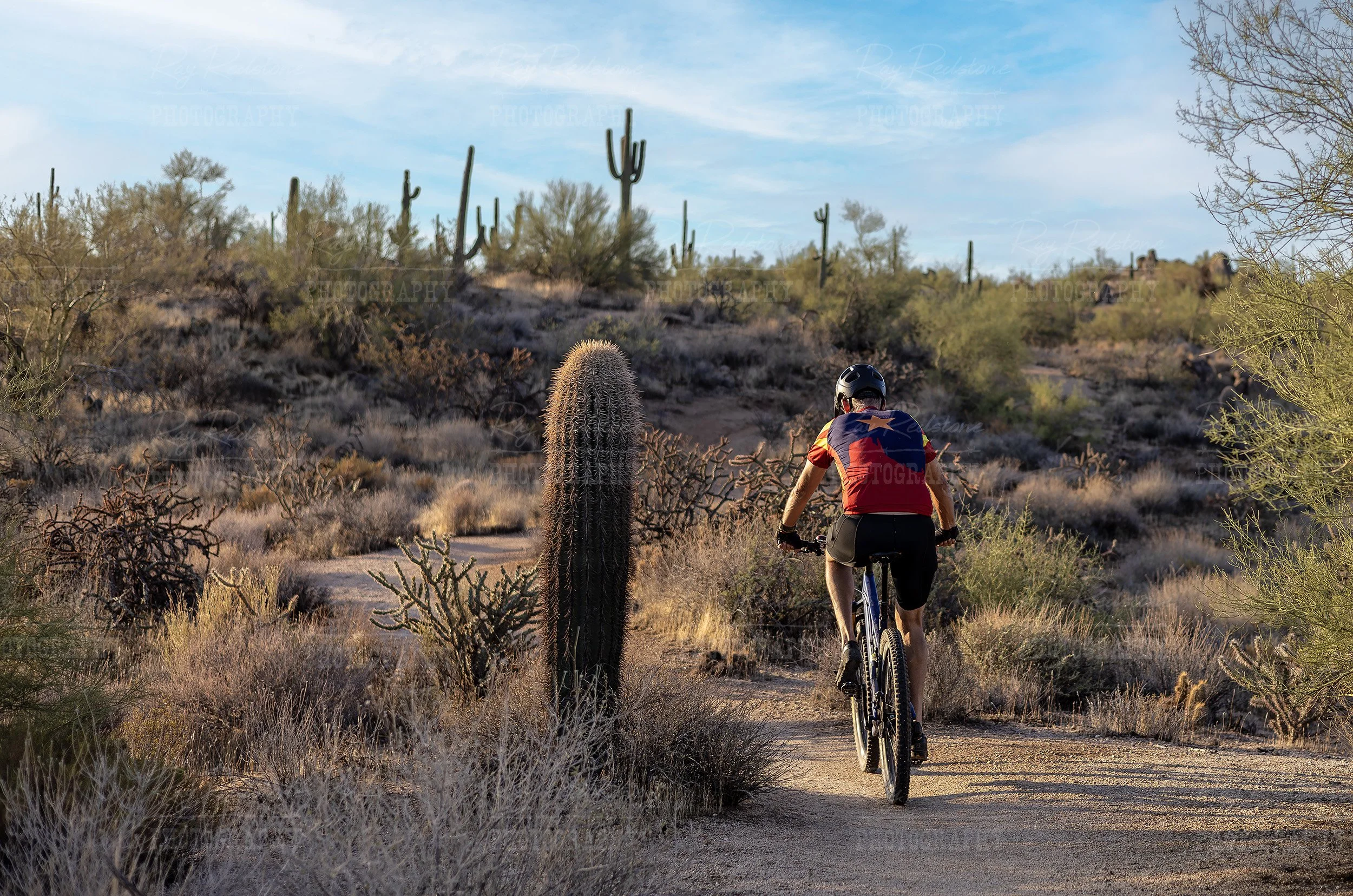 Man On Mountain Biking Trail In Scottsdale AZ