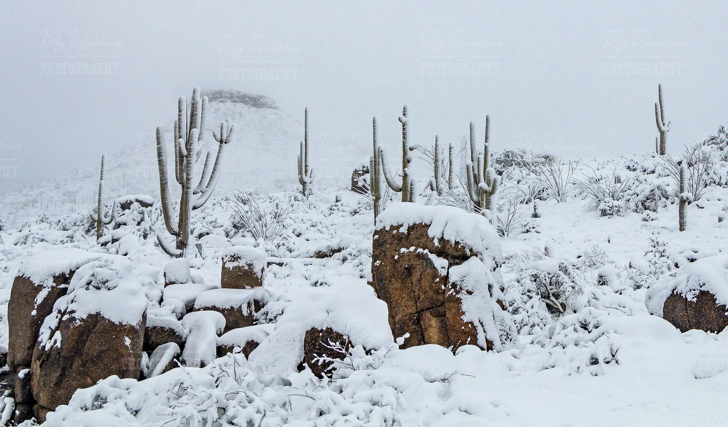 Snow Blanketed Sonoran Desert Landscape In AZ