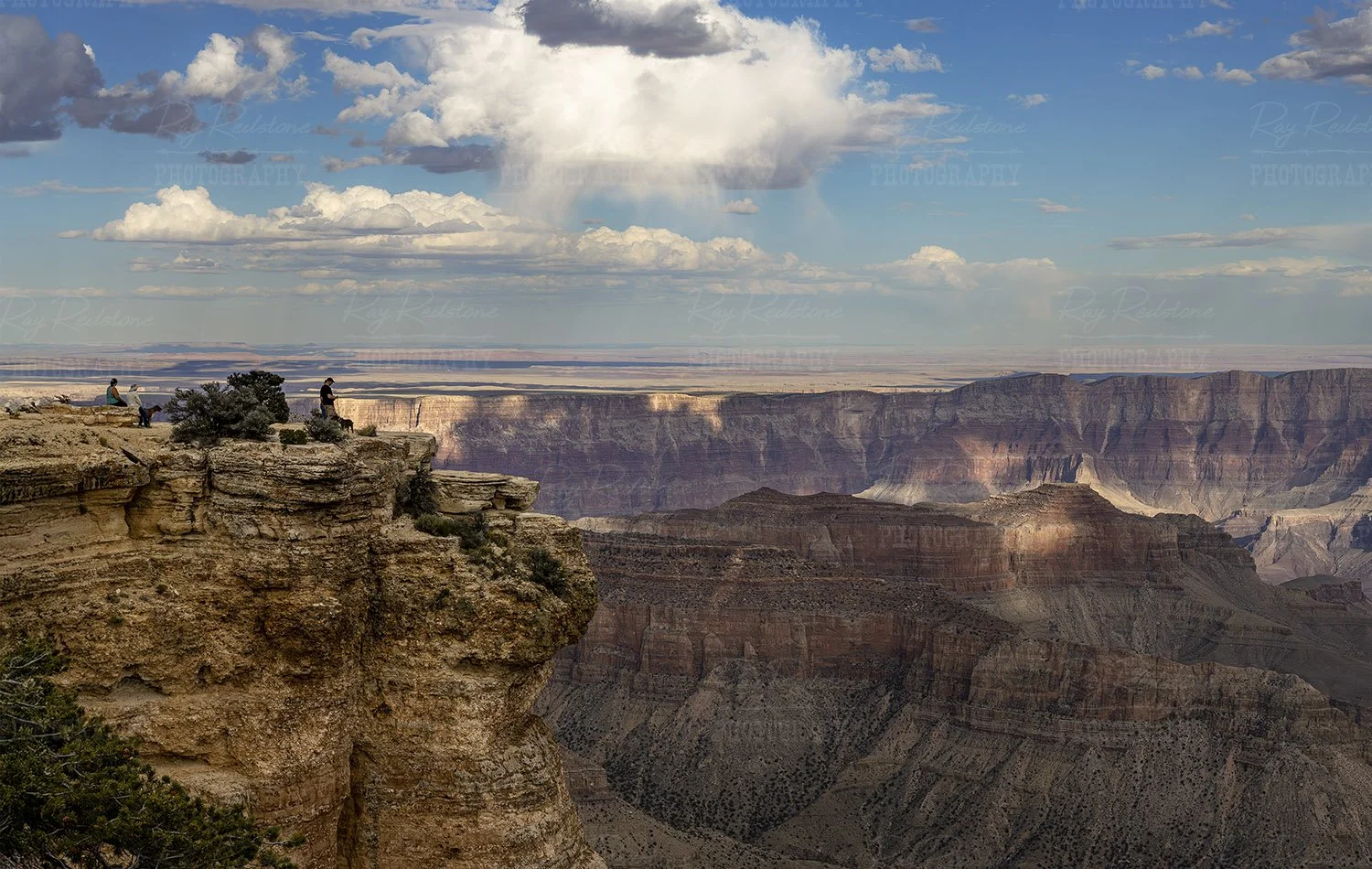 North Rim View Point