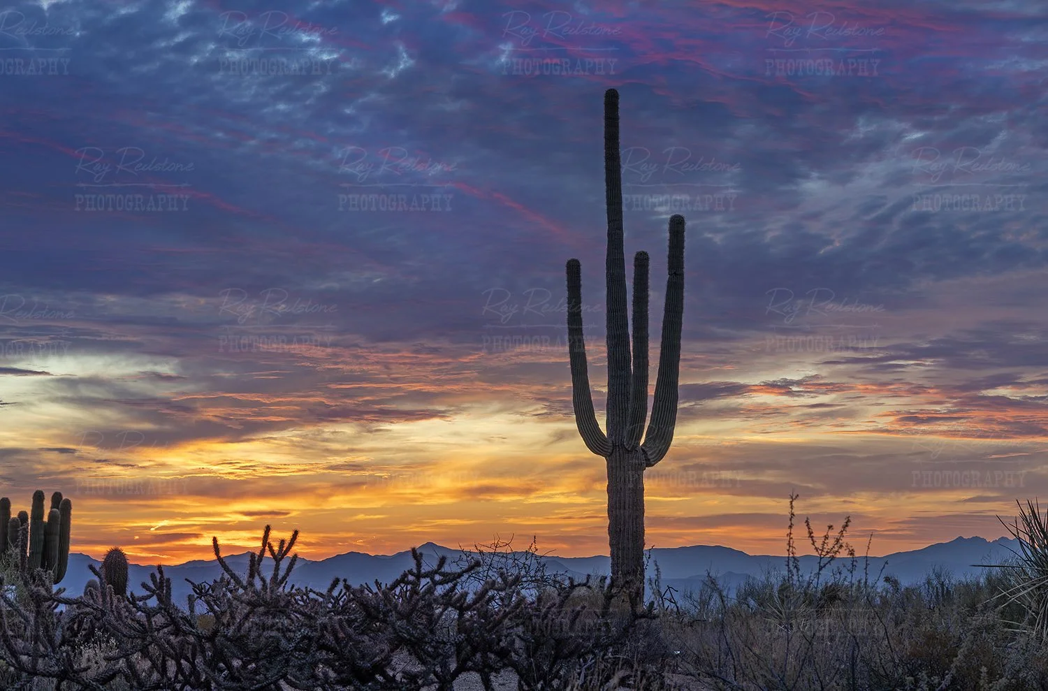 Desert sunrise in Scottsdale...