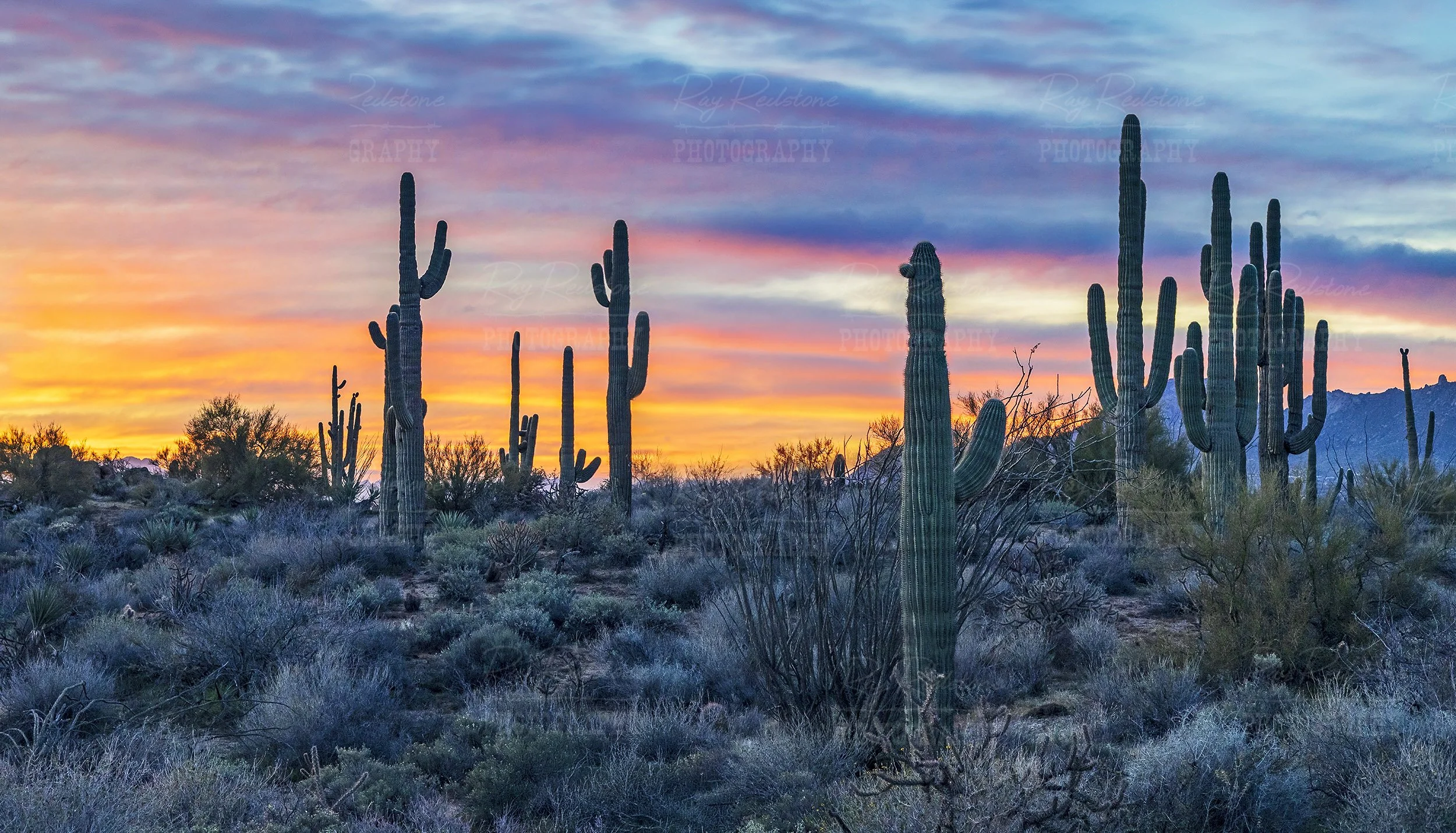 Colorful Sunrise Skies Over Arizona Desert Landscape
