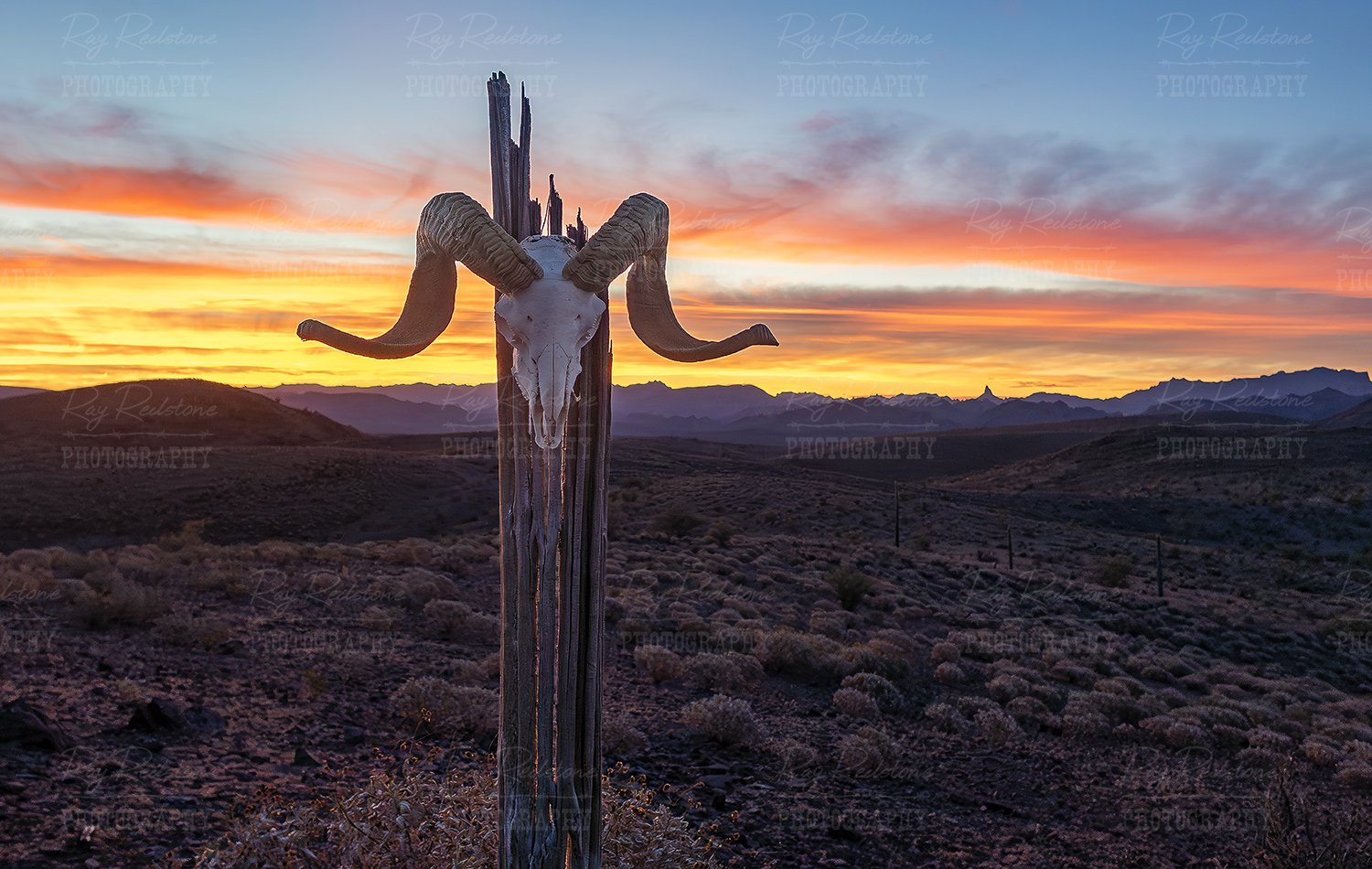 Desert sunrise in Arizona 