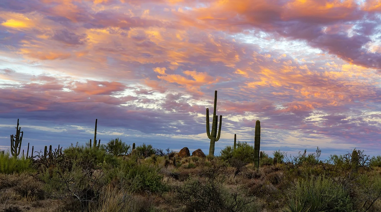 Ultra Wide Sunrise Landscape 