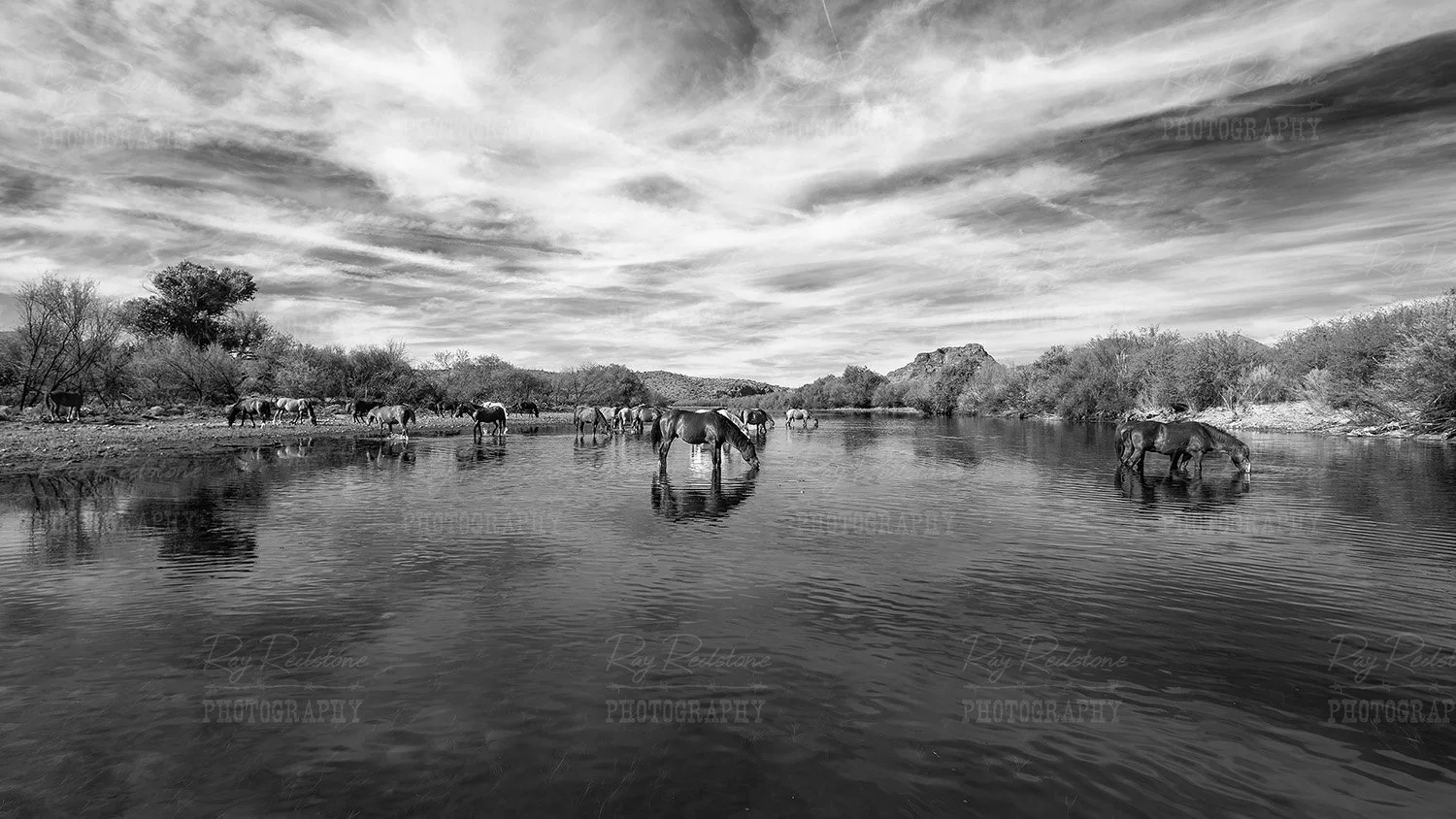 Black & White Capture On Salt River 