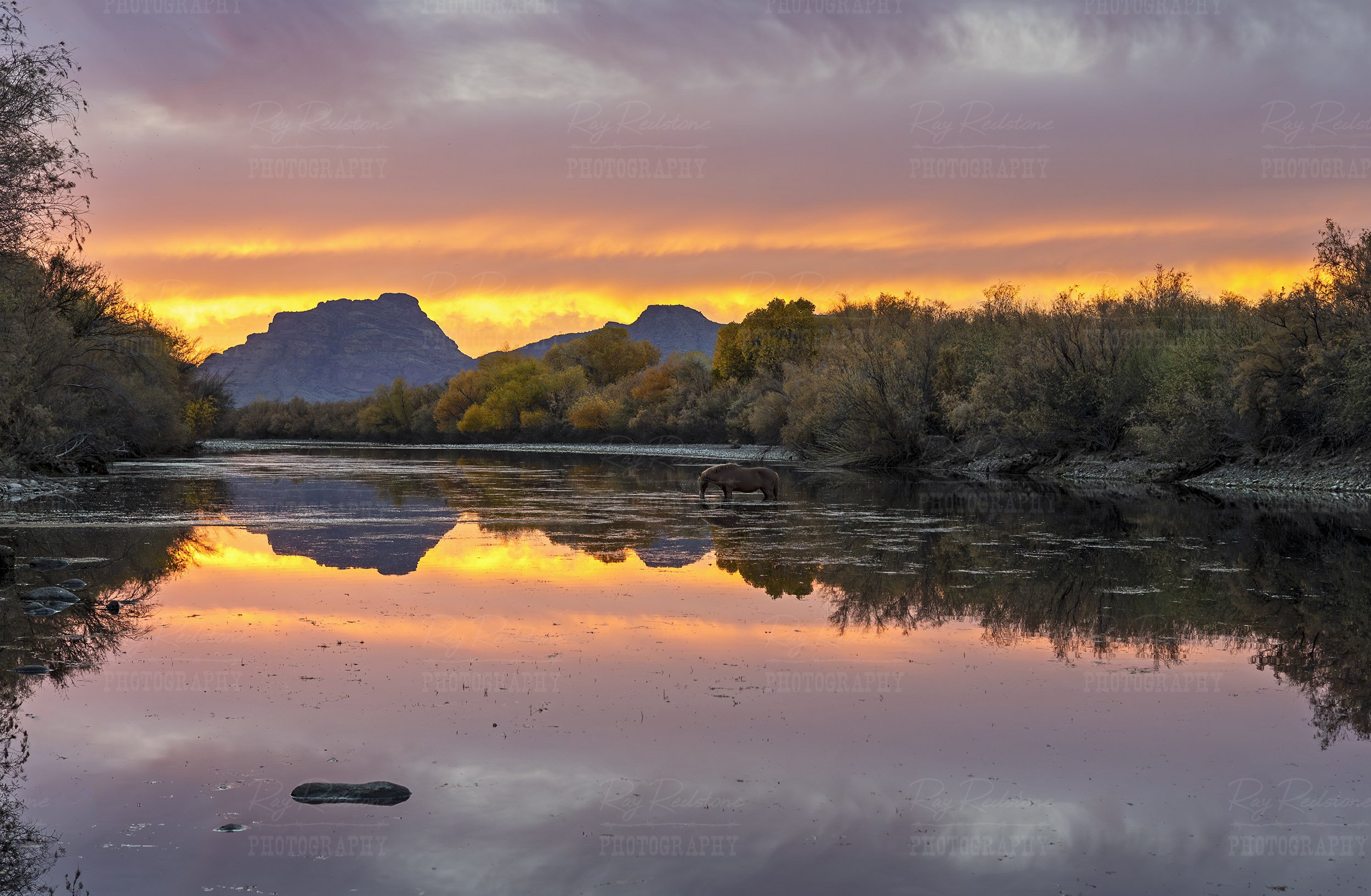 Sunset Landscape Of Salt River And Wild Horse