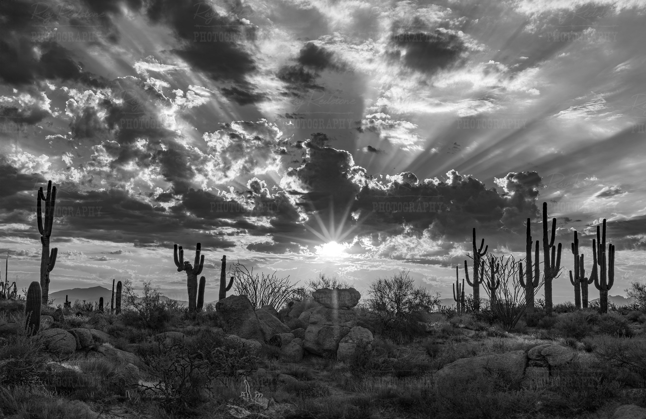 Black & White Desert Sunrise In Scottsdale AZ