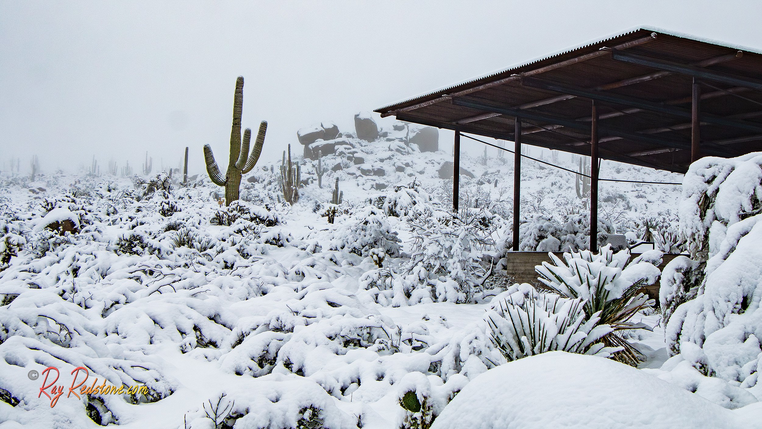 Snow Covered Desert Preserve In Scottsdale AZ