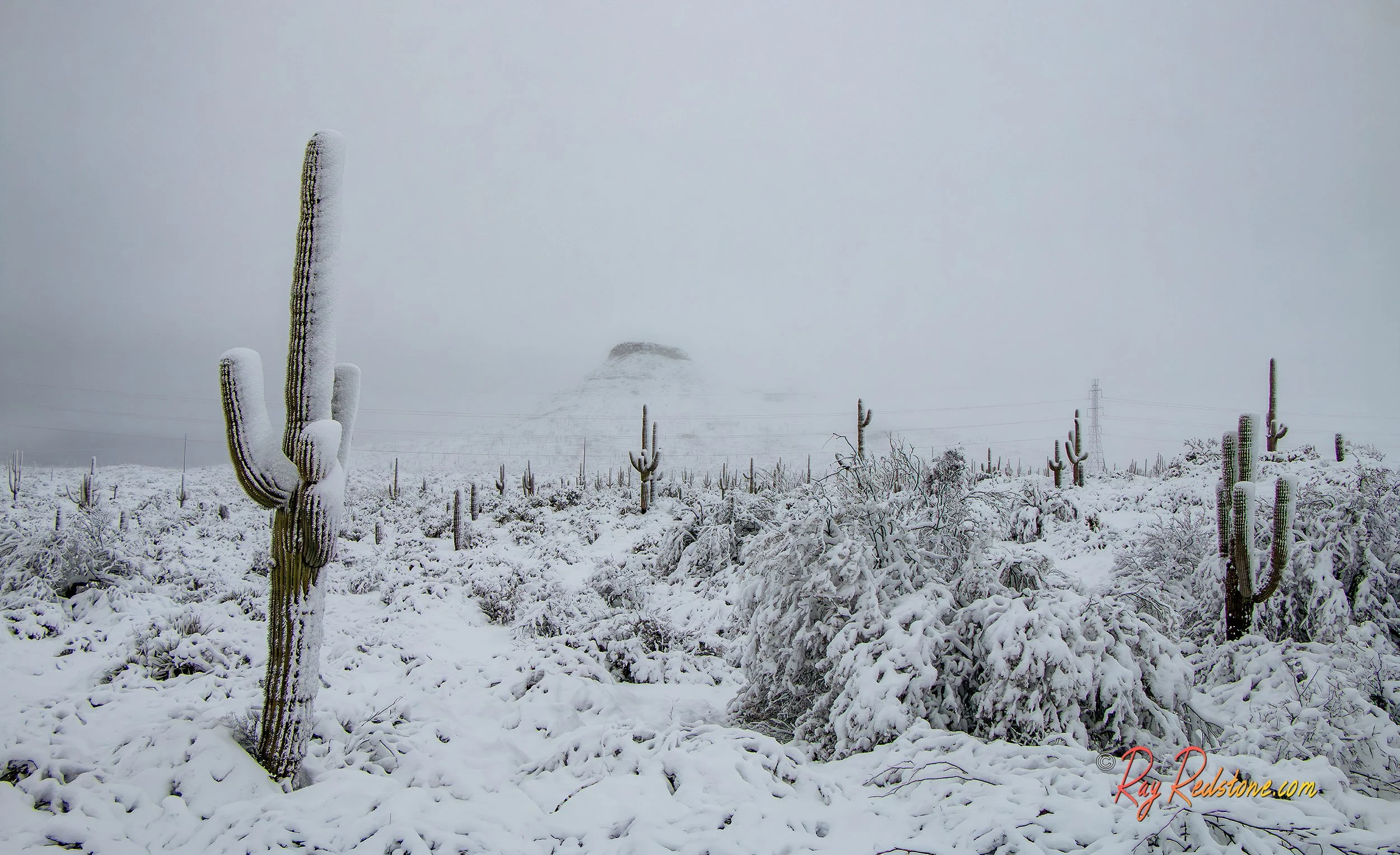 Arizona desert after snow storm in Scottsdale