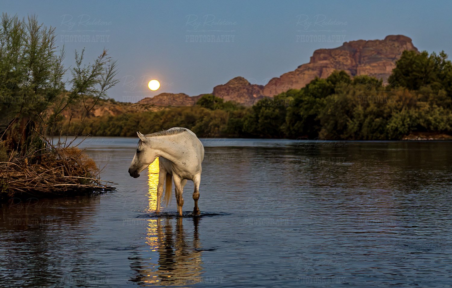 Full Moon Reflection
