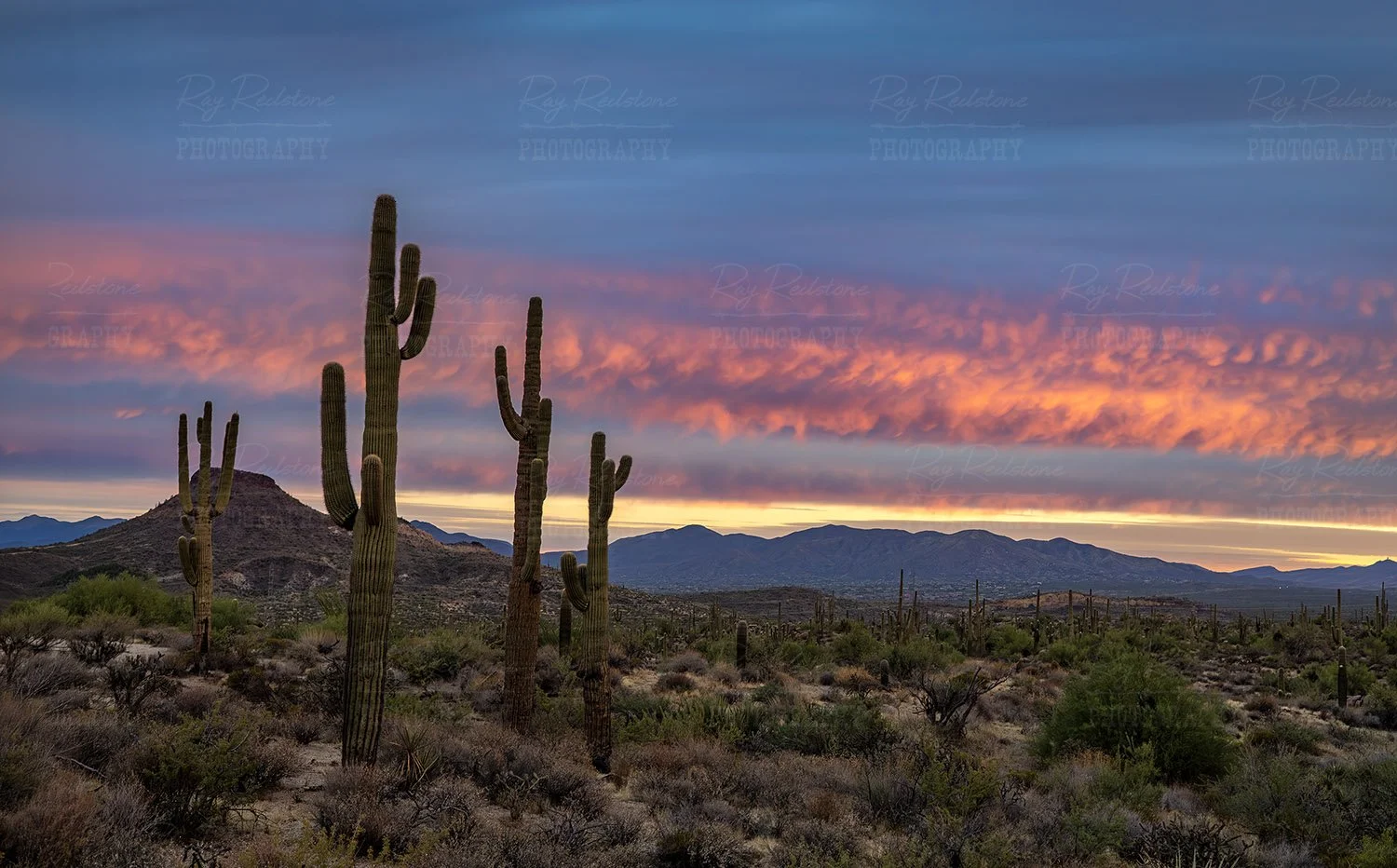 sunrise-landscape2-0S8A4851-1500wm.jpg