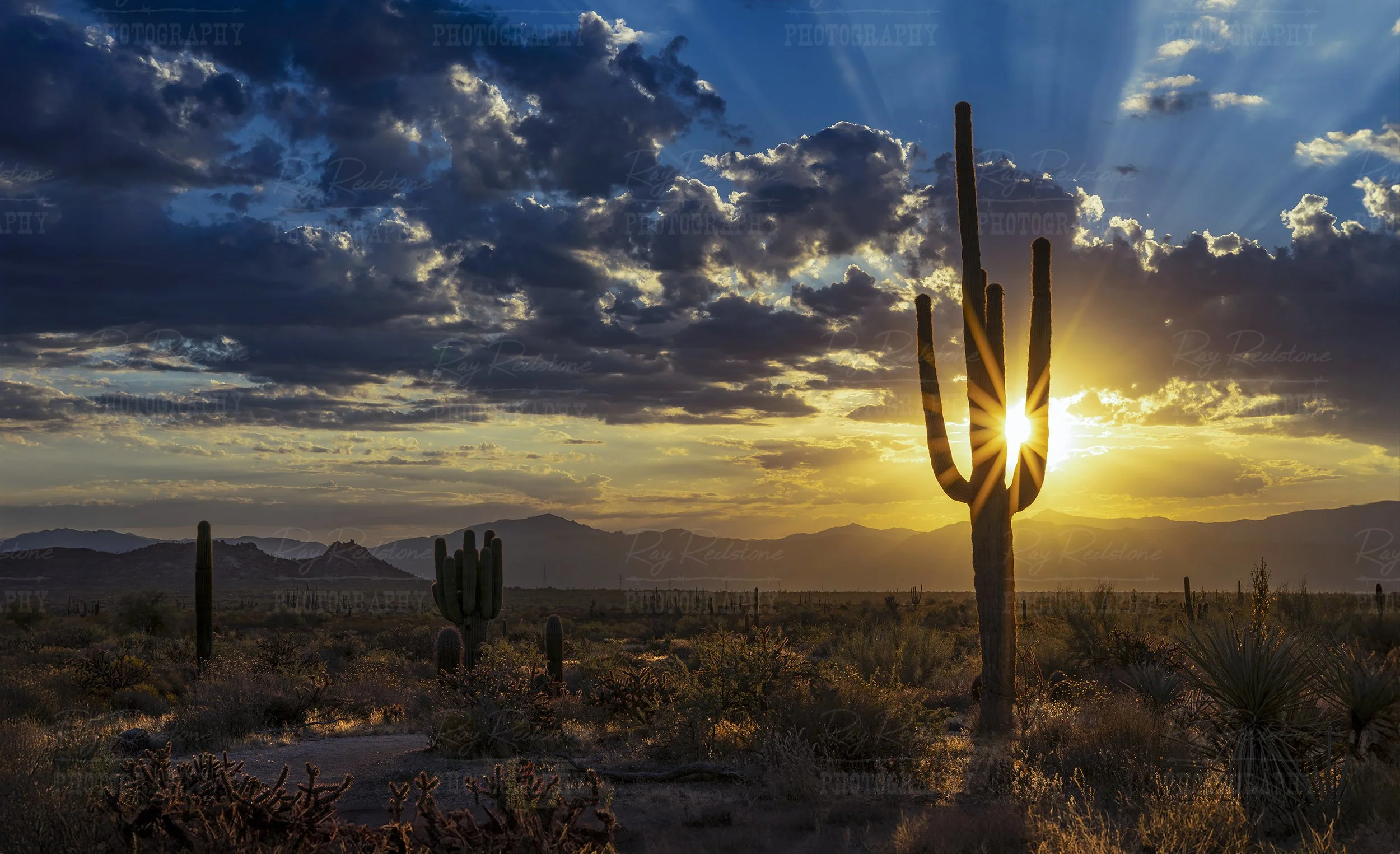 Wide Ratio Arizona Desert Sunrise Landscape