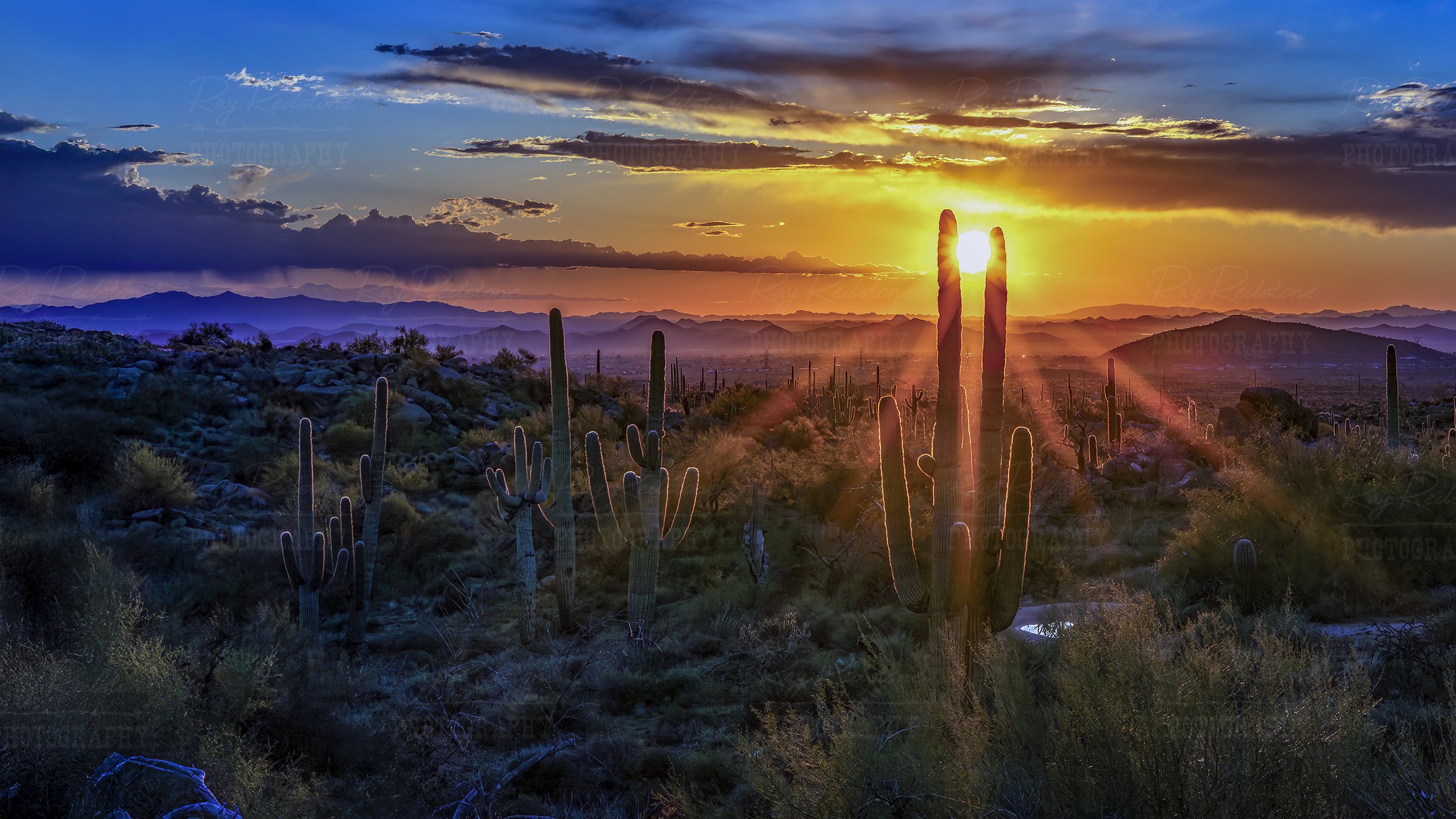 Sunburst Desert Sunset Landscape In Scottsdale AZ