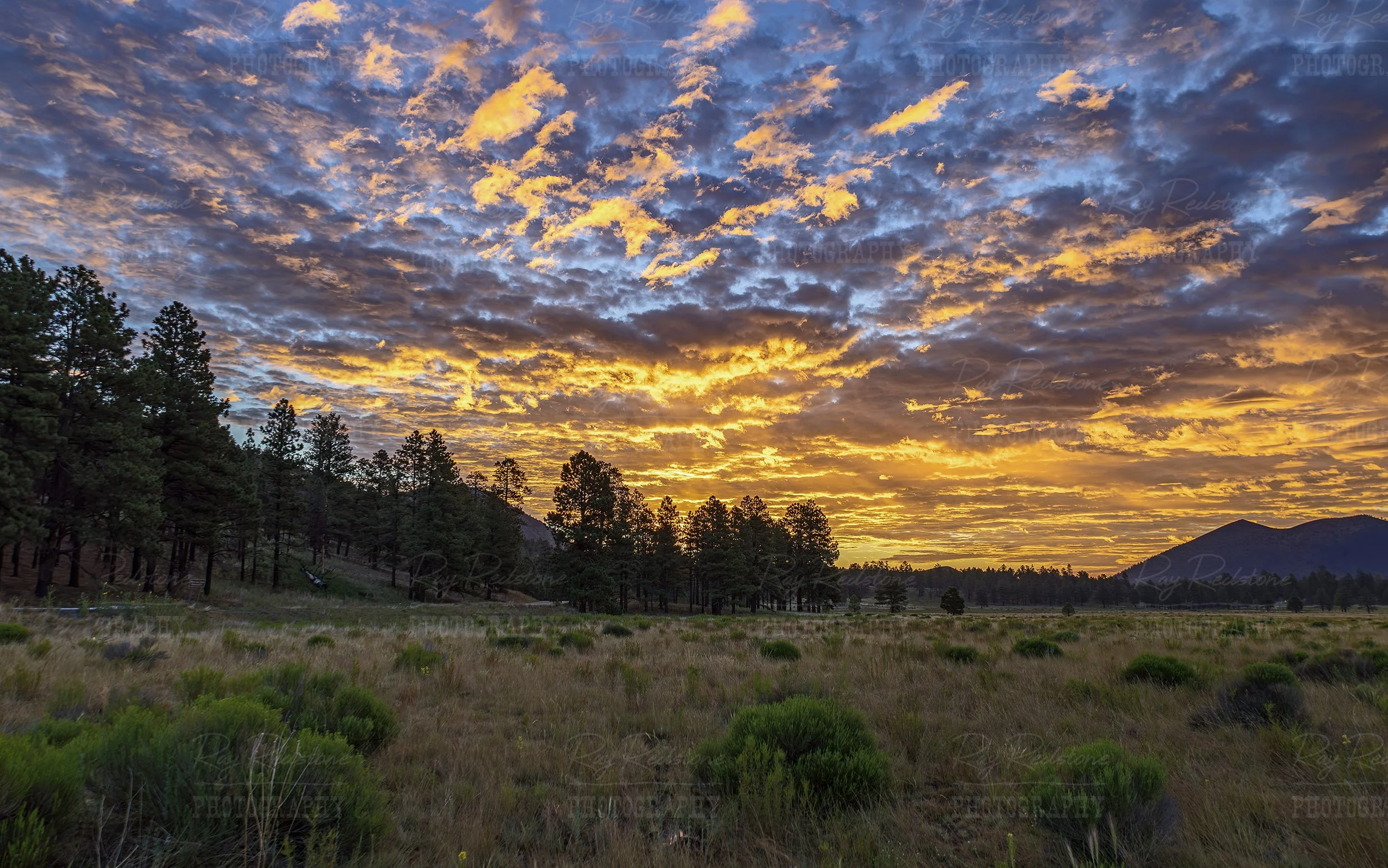 Flagstaff Arizona Sunrise Landscape