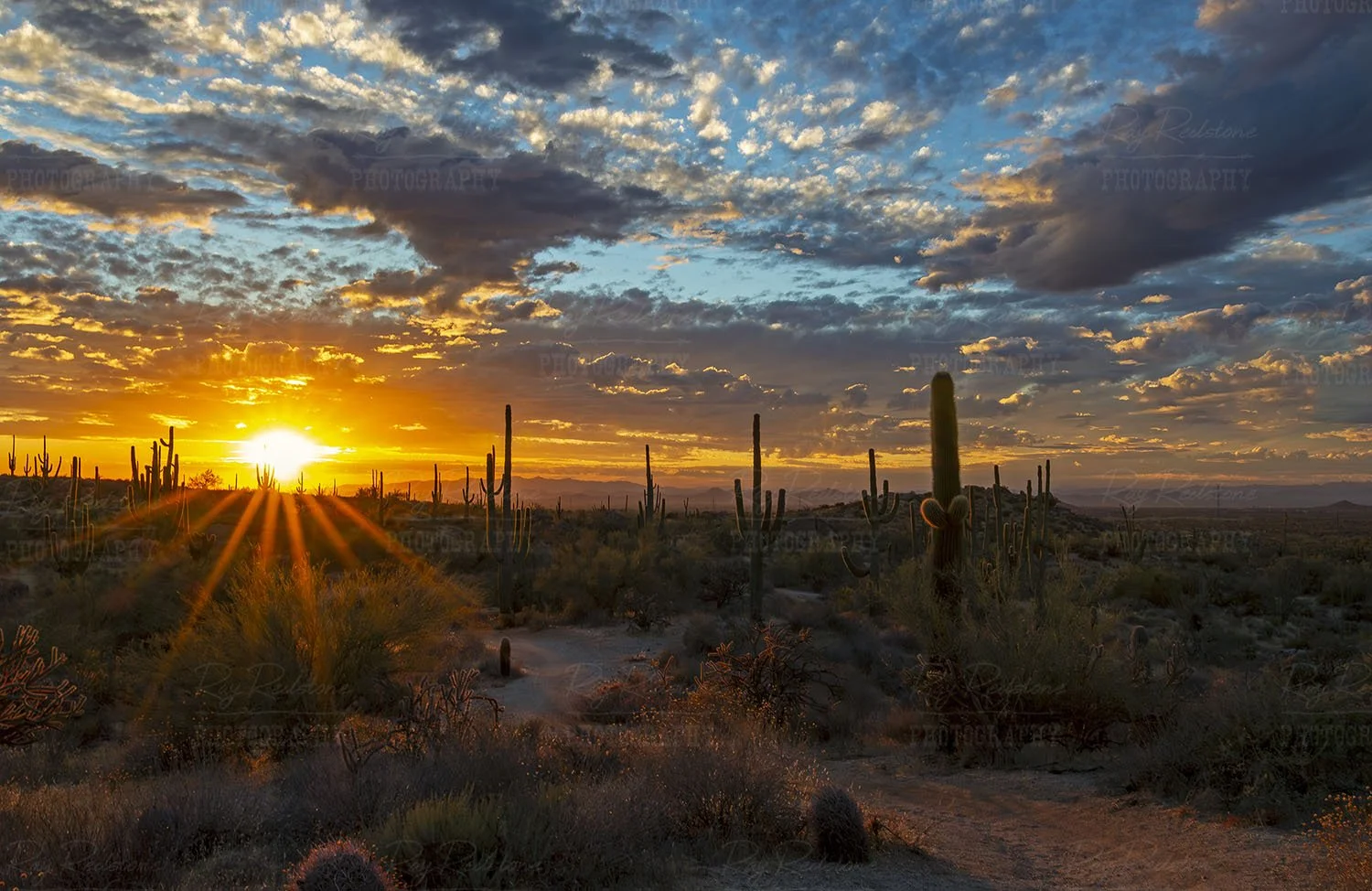 AZ Desert Sunset Sunrays
