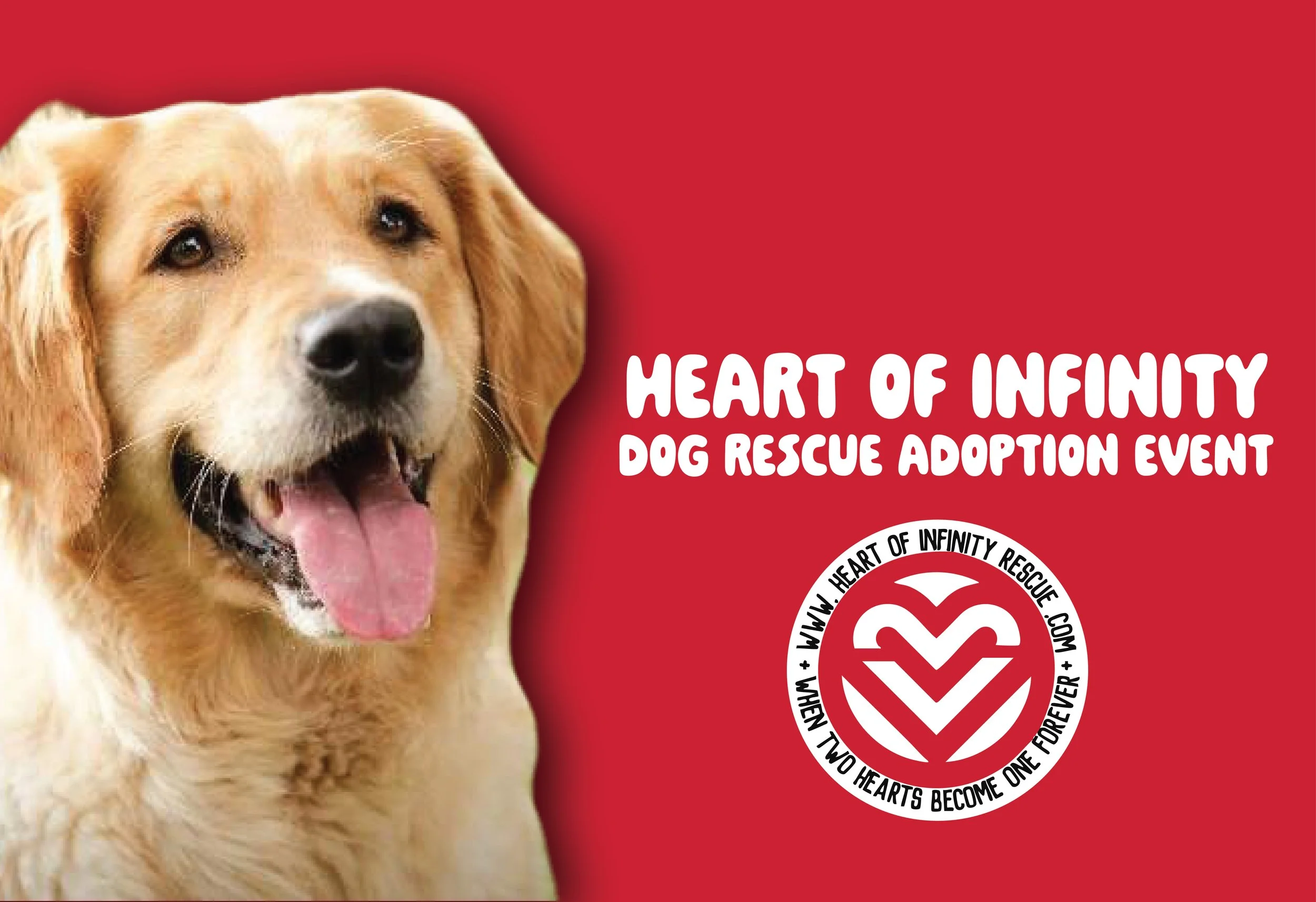Heart of Infinity Dog Rescue