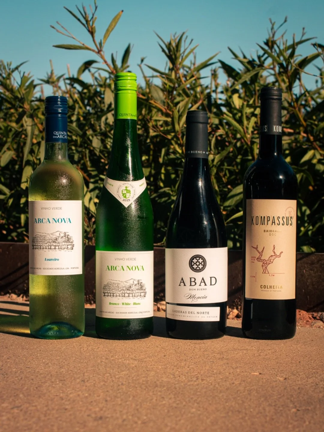 Today we&rsquo;re sippin on Spanish &amp; Portuguese wines! 🍇

Come by for our wine tasting with Dennis from @tappawinesaz! We&rsquo;ve got 5 wines for you to try, tasting will begin at 4pm. You can enjoy them as a flight or by the glass. Below are 